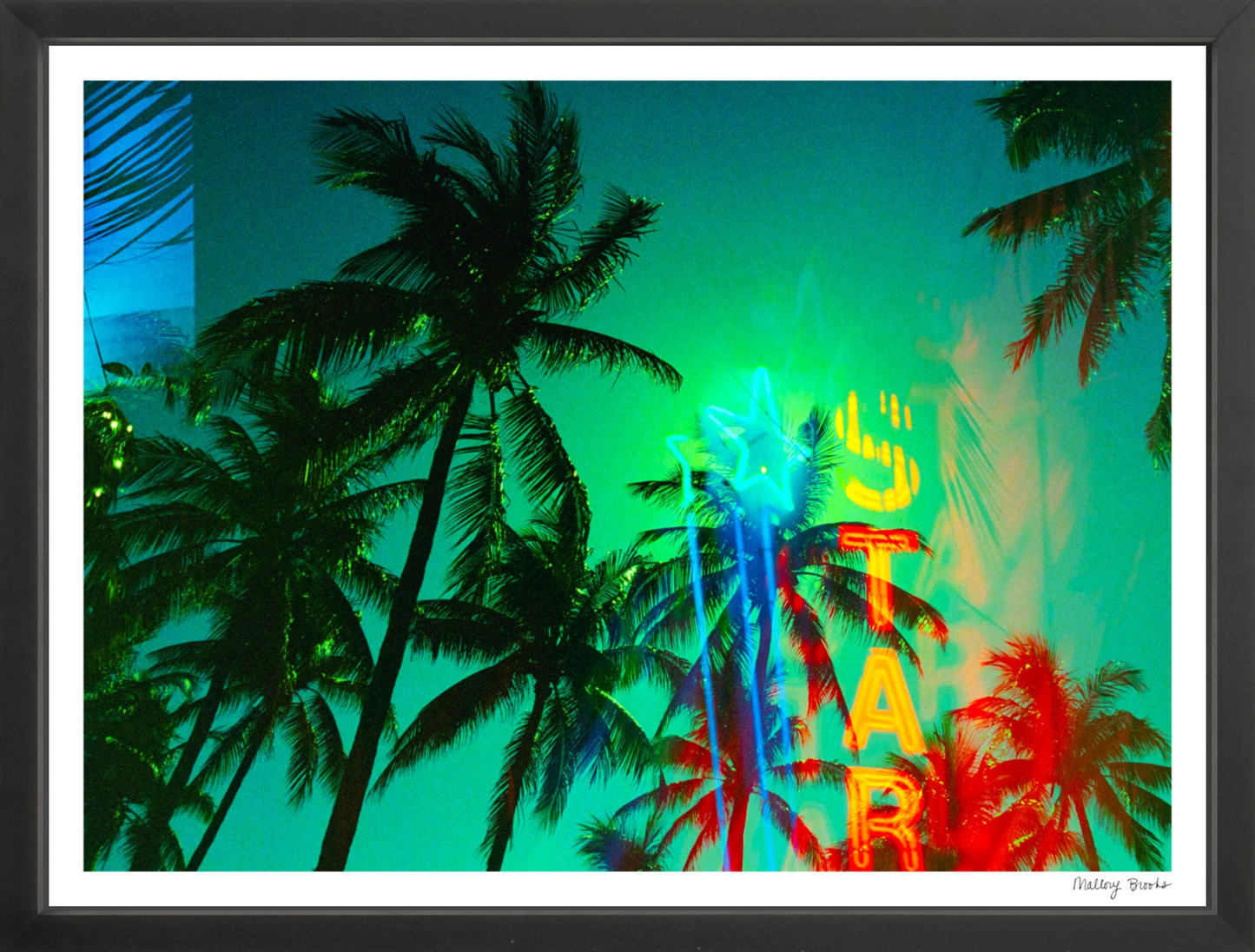 Neon Star Palms No. 1