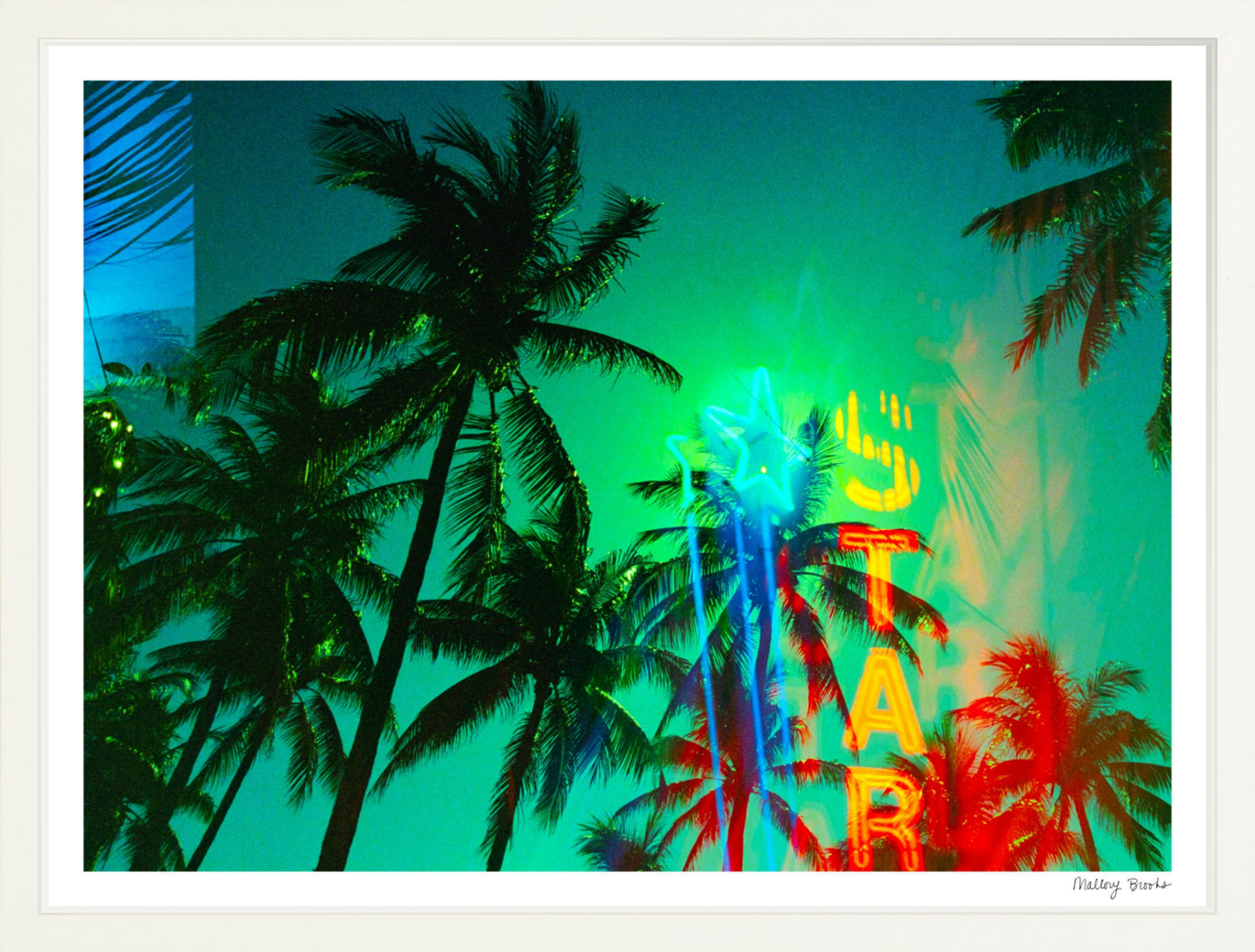 Neon Star Palms No. 1