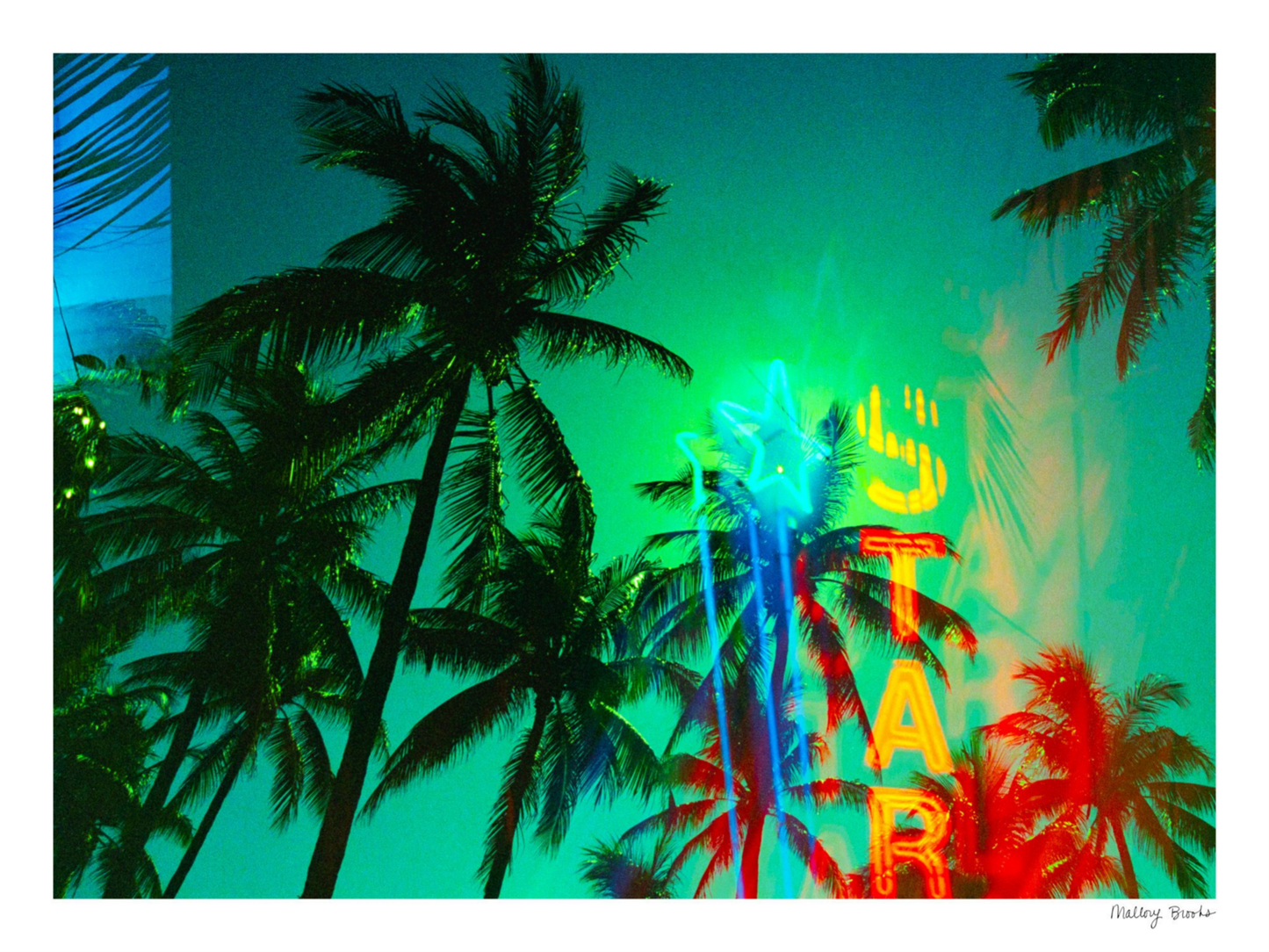 Neon Star Palms No. 1