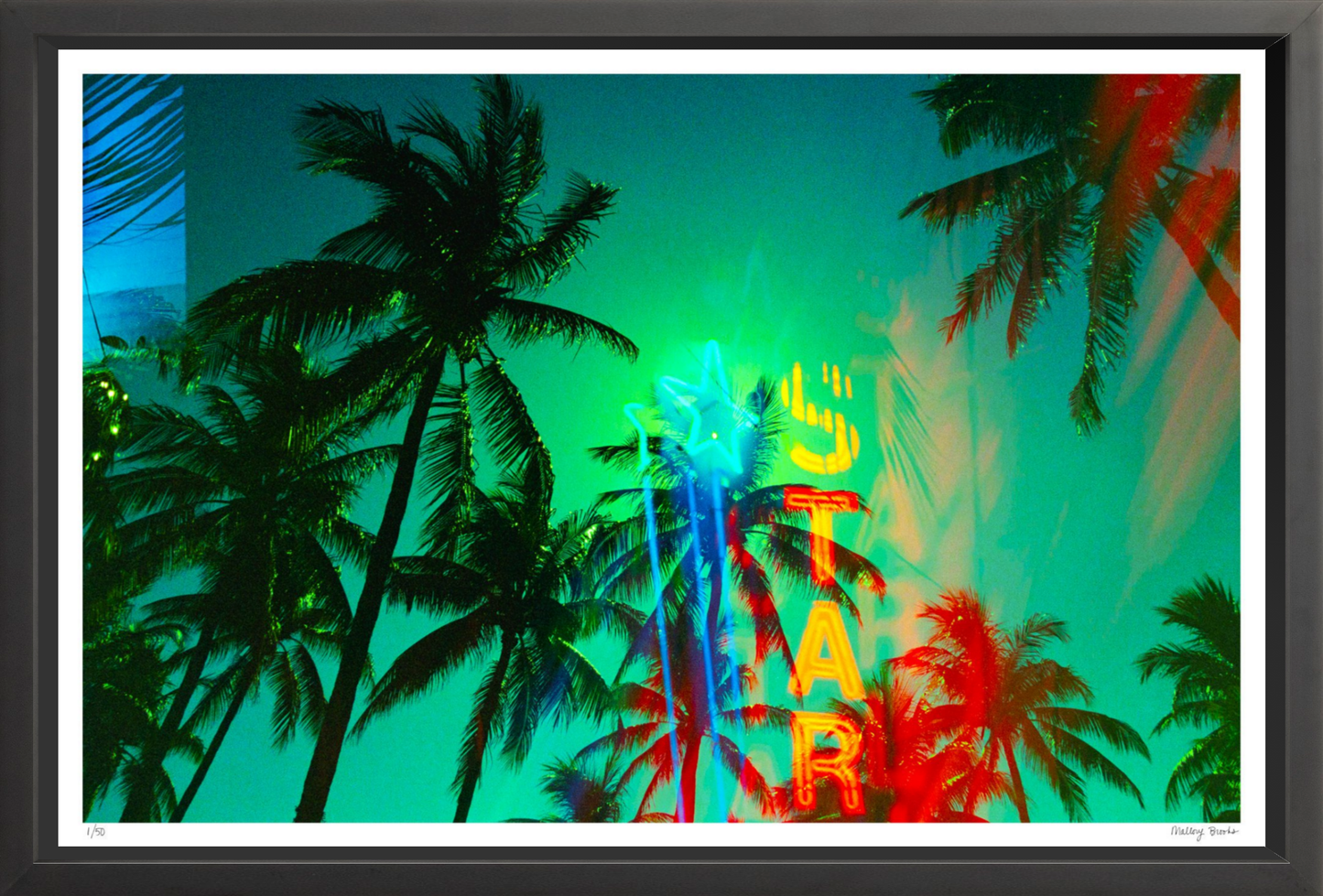 Neon Star Palms No. 1