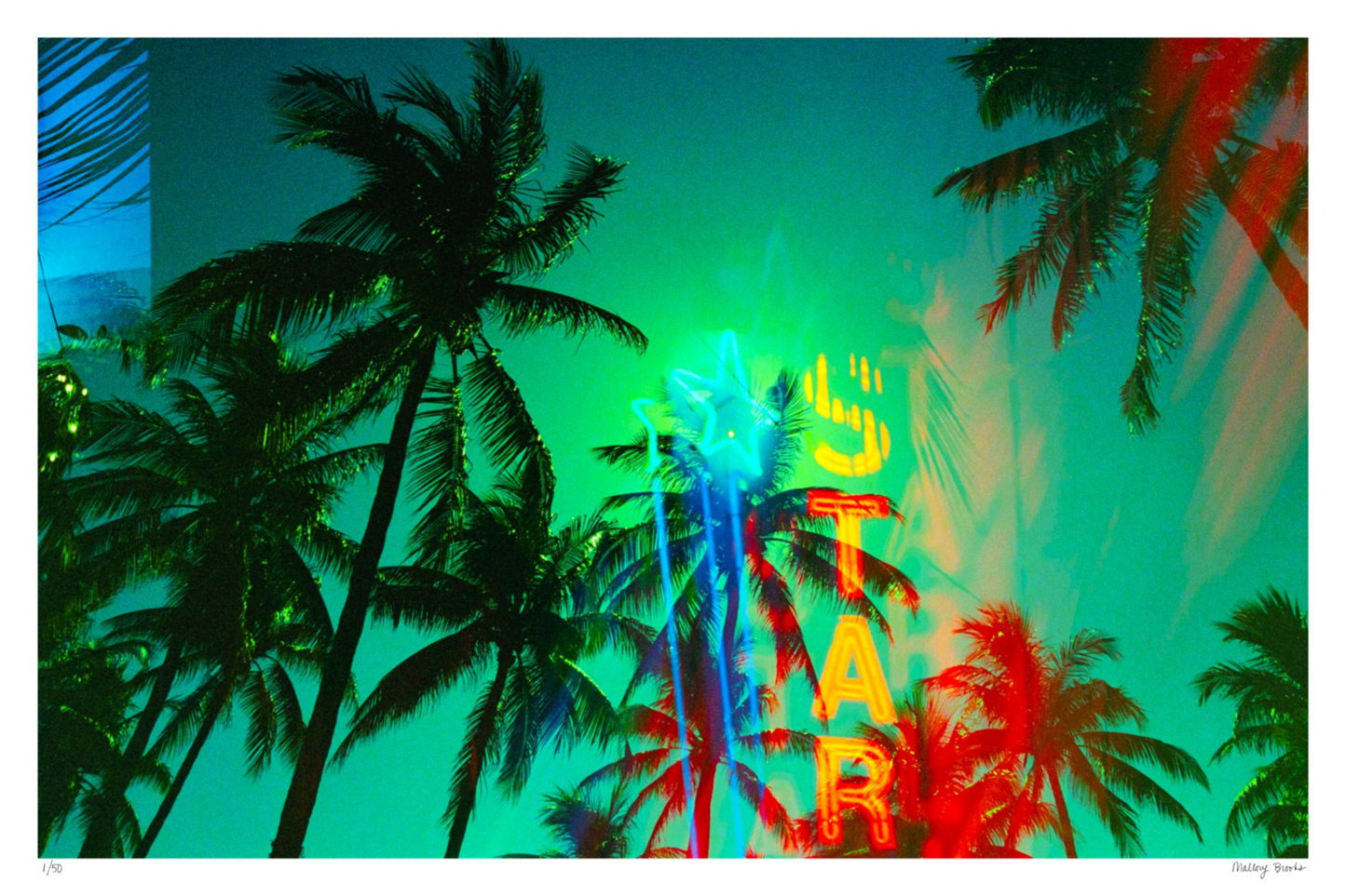 Neon Star Palms No. 1