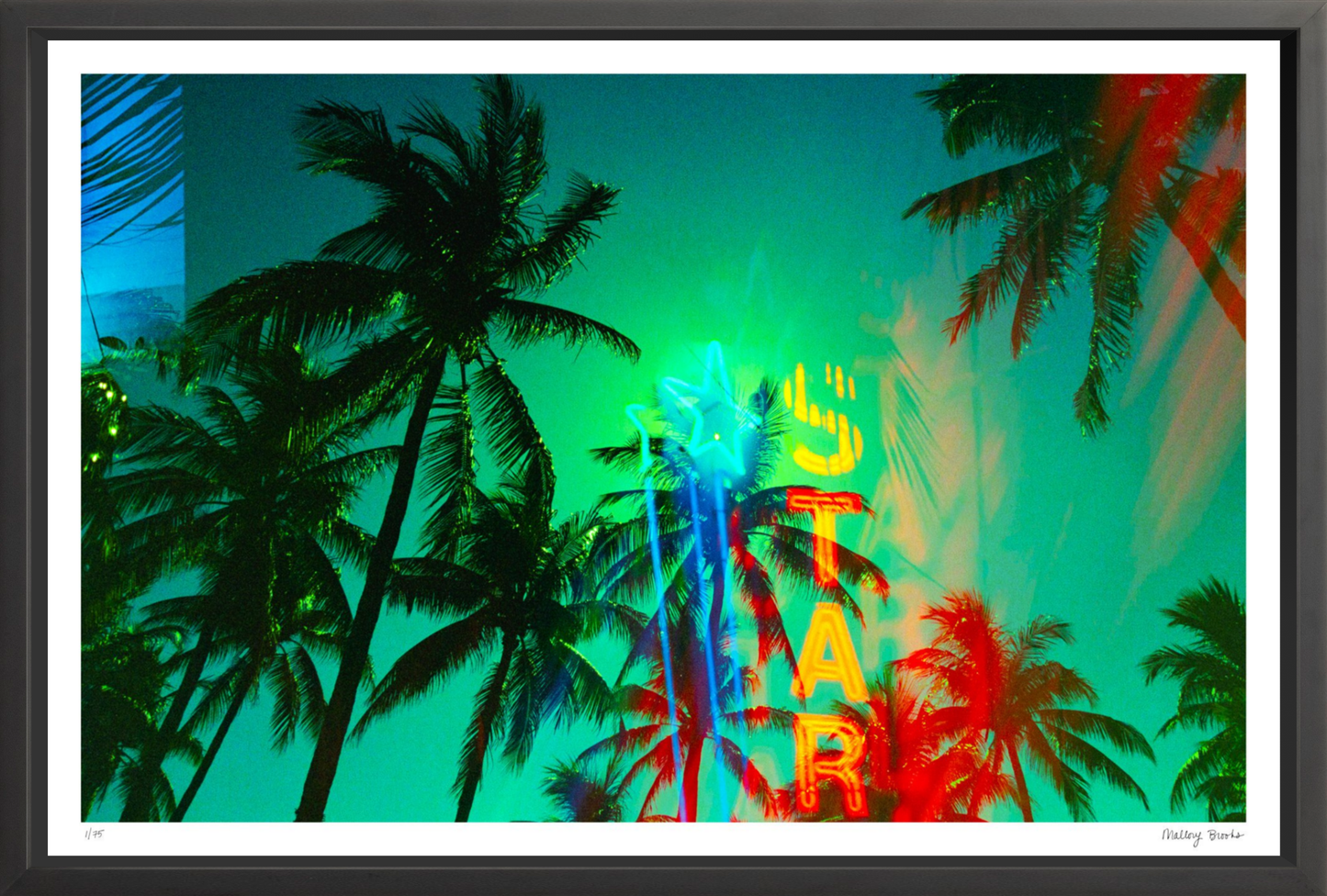 Neon Star Palms No. 1