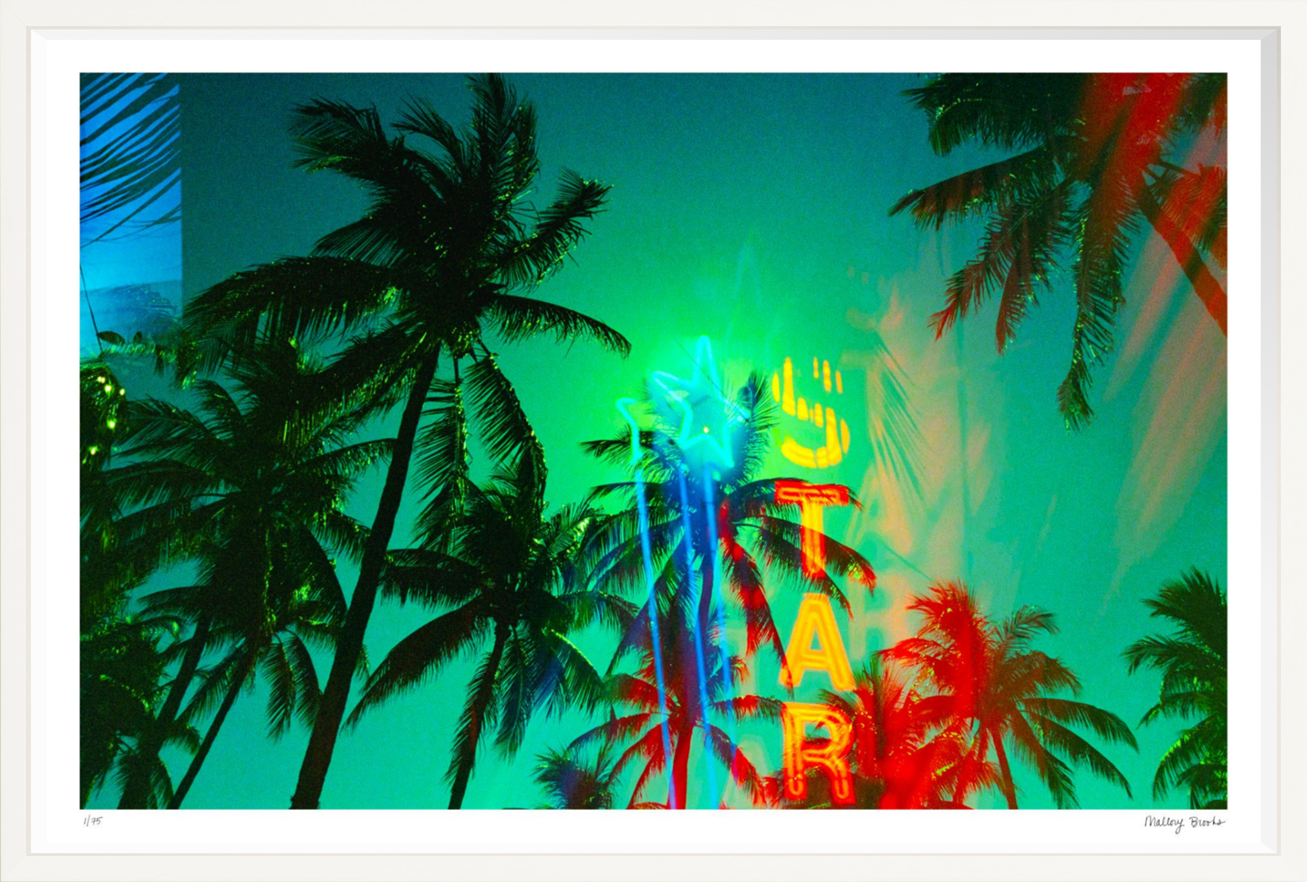 Neon Star Palms No. 1