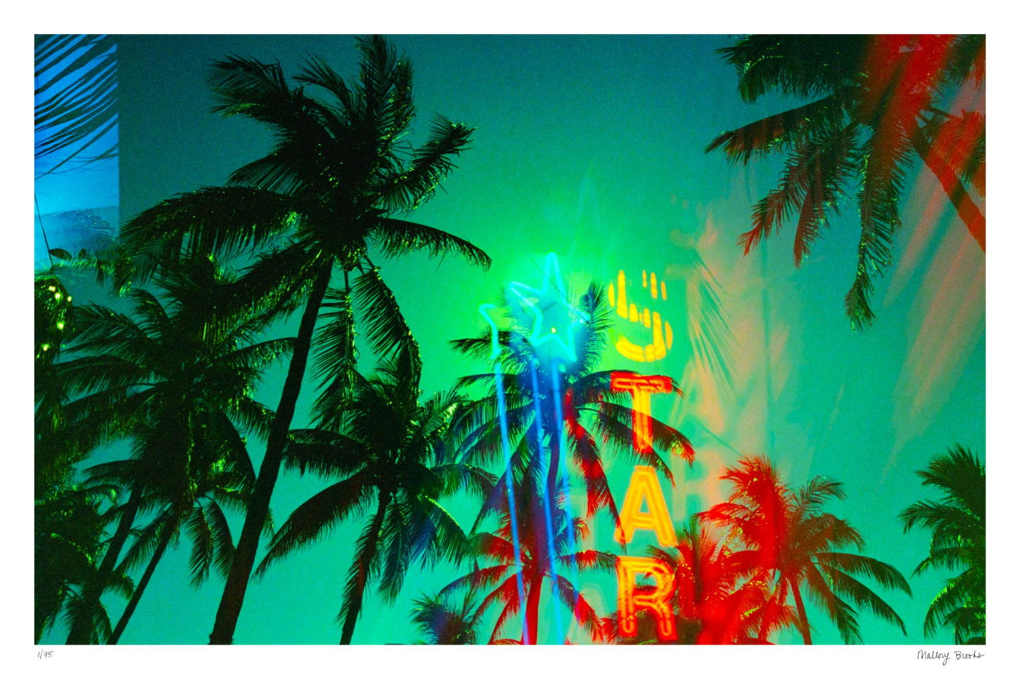 Neon Star Palms No. 1