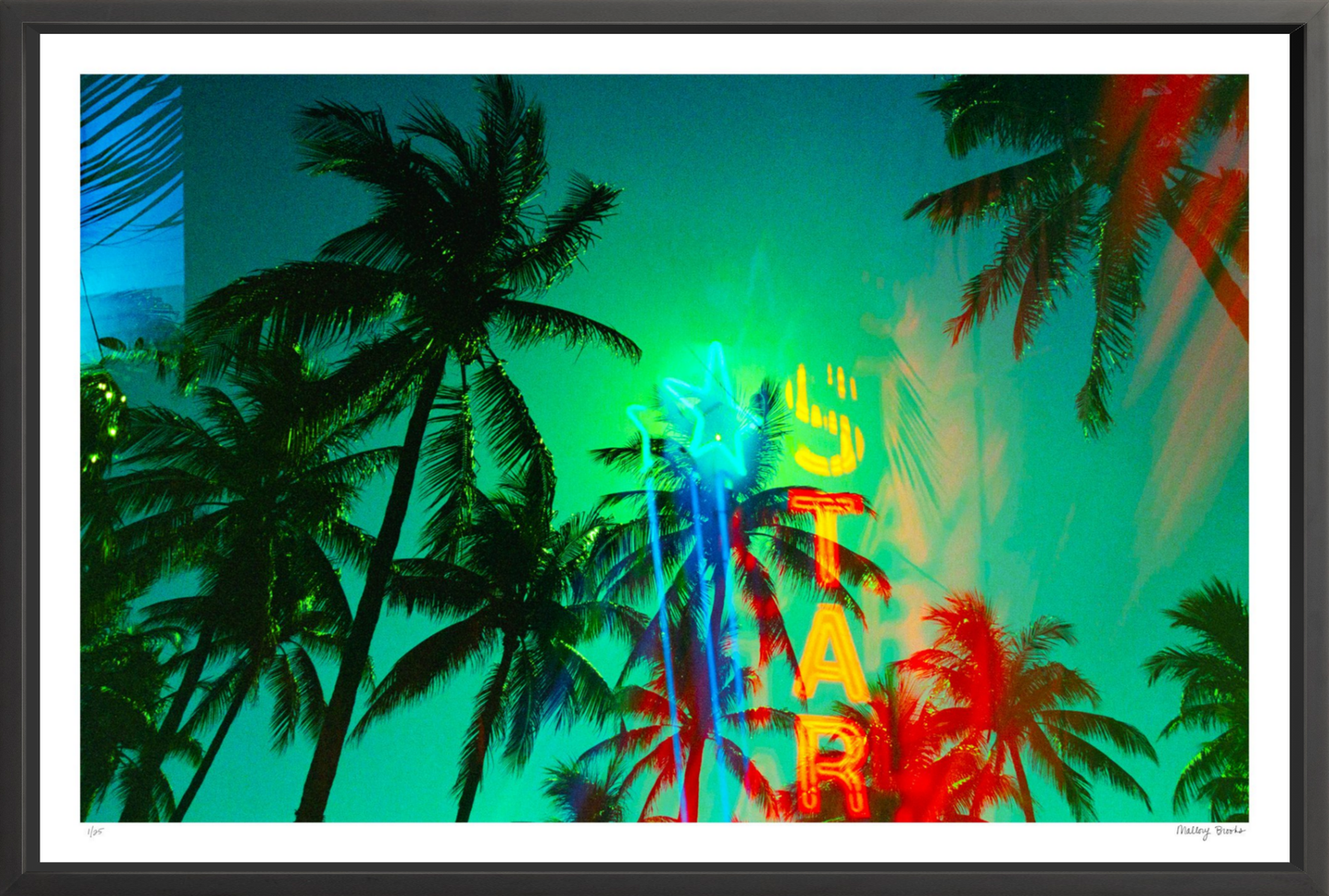 Neon Star Palms No. 1