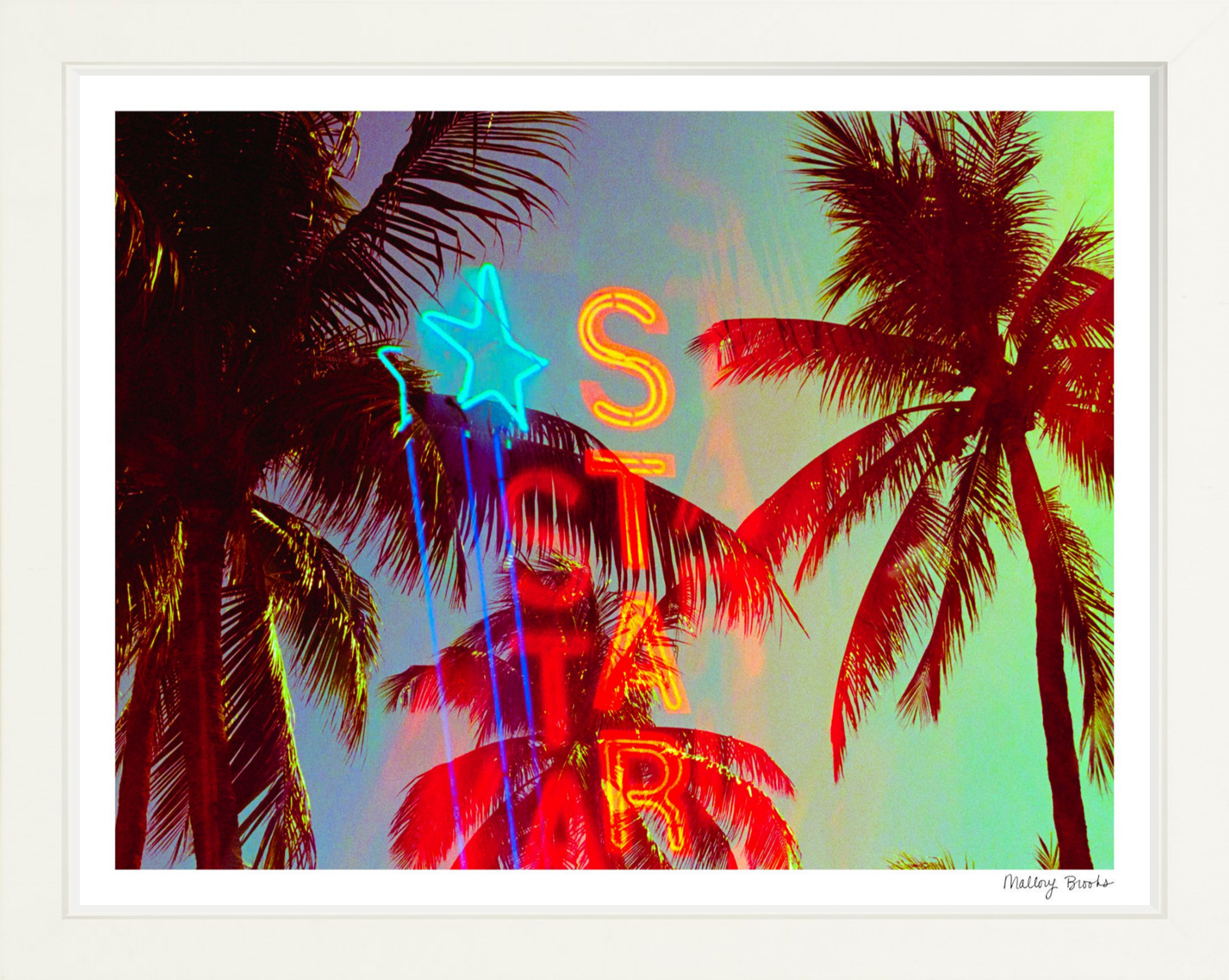 Neon Star Palms No. 2
