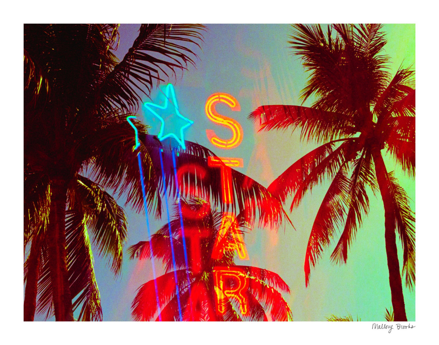 Neon Star Palms No. 2