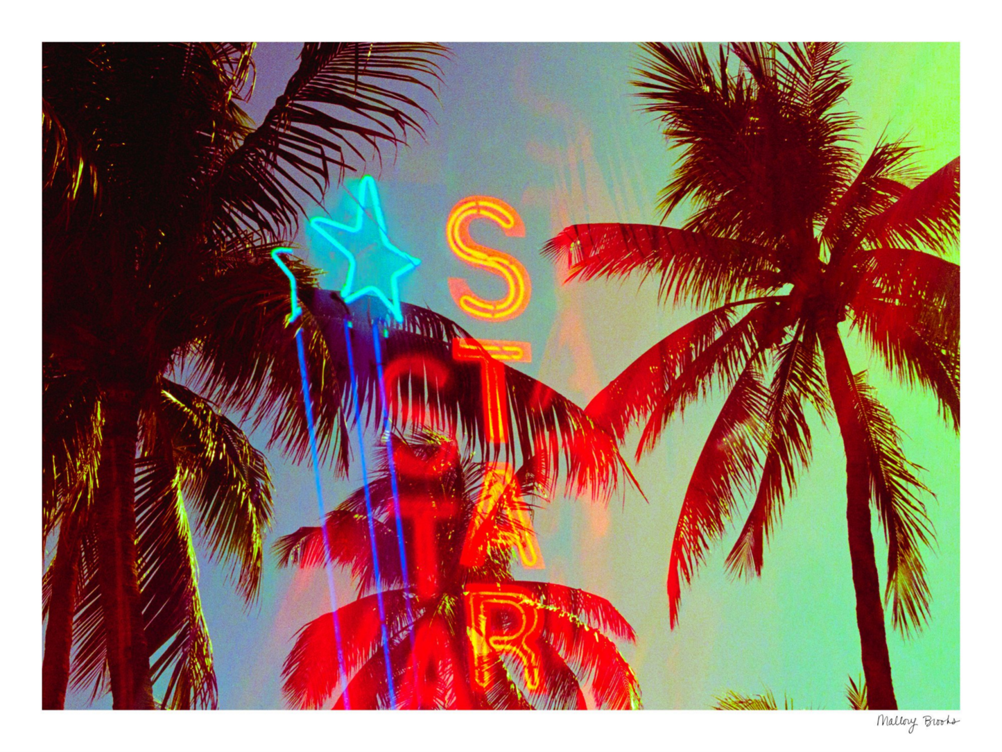 Neon Star Palms No. 2