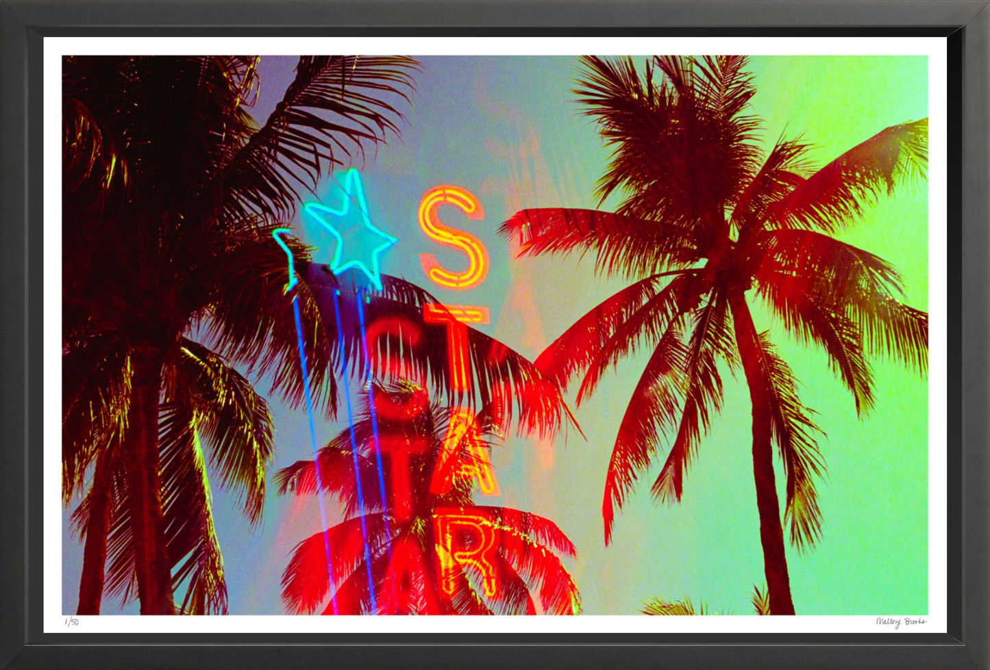 Neon Star Palms No. 2