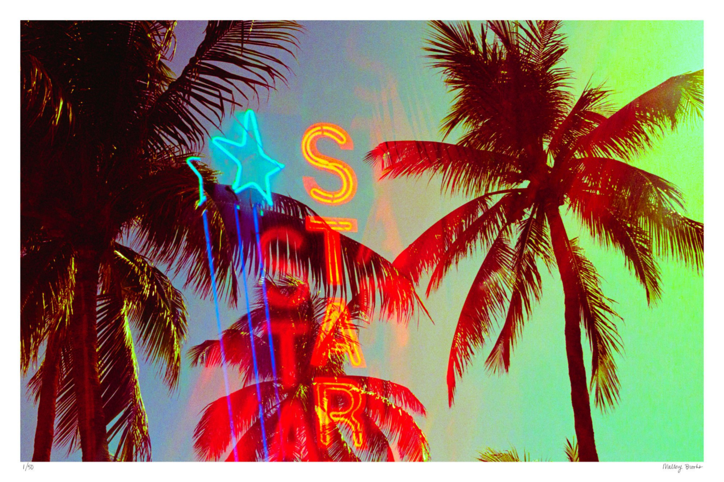 Neon Star Palms No. 2