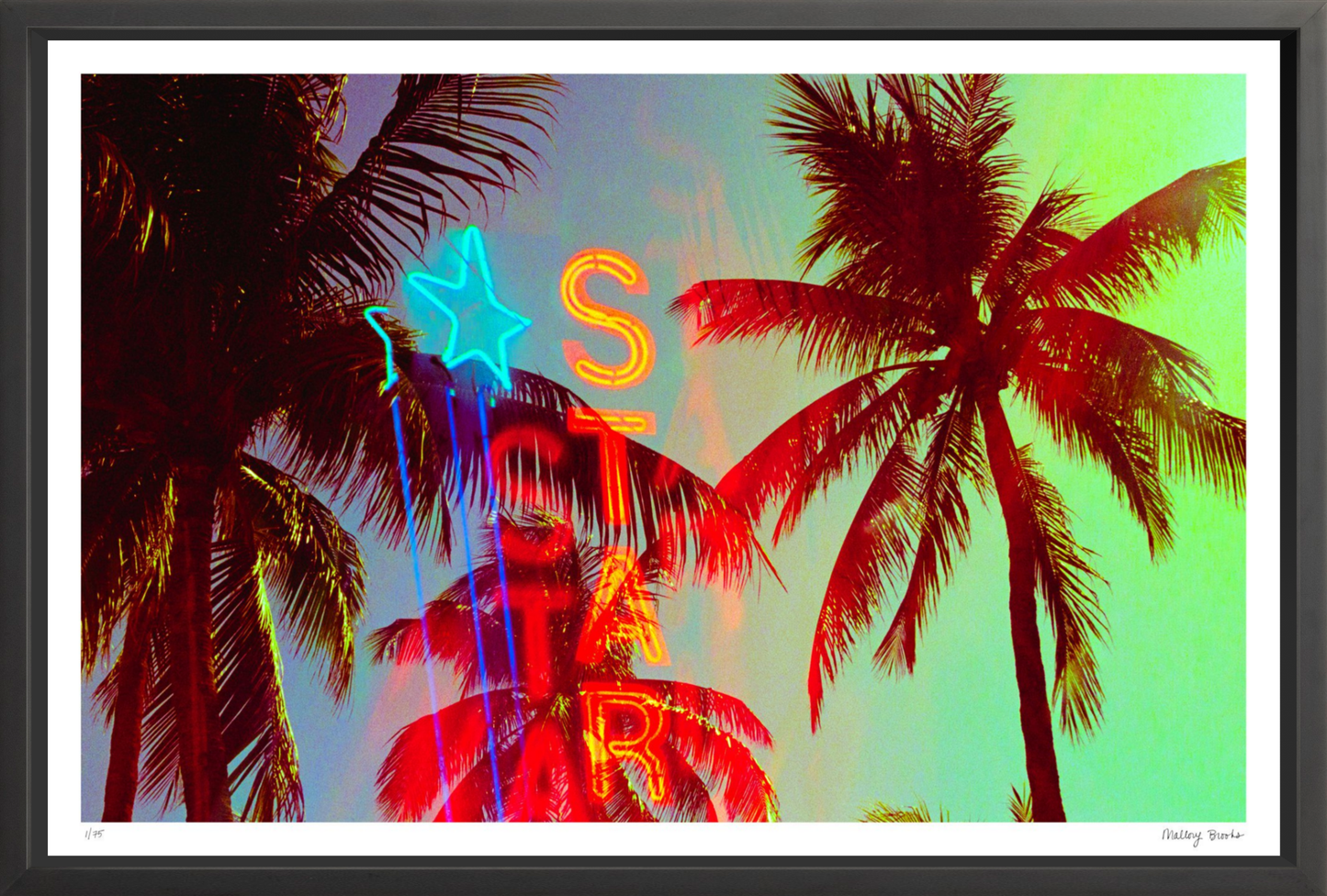 Neon Star Palms No. 2
