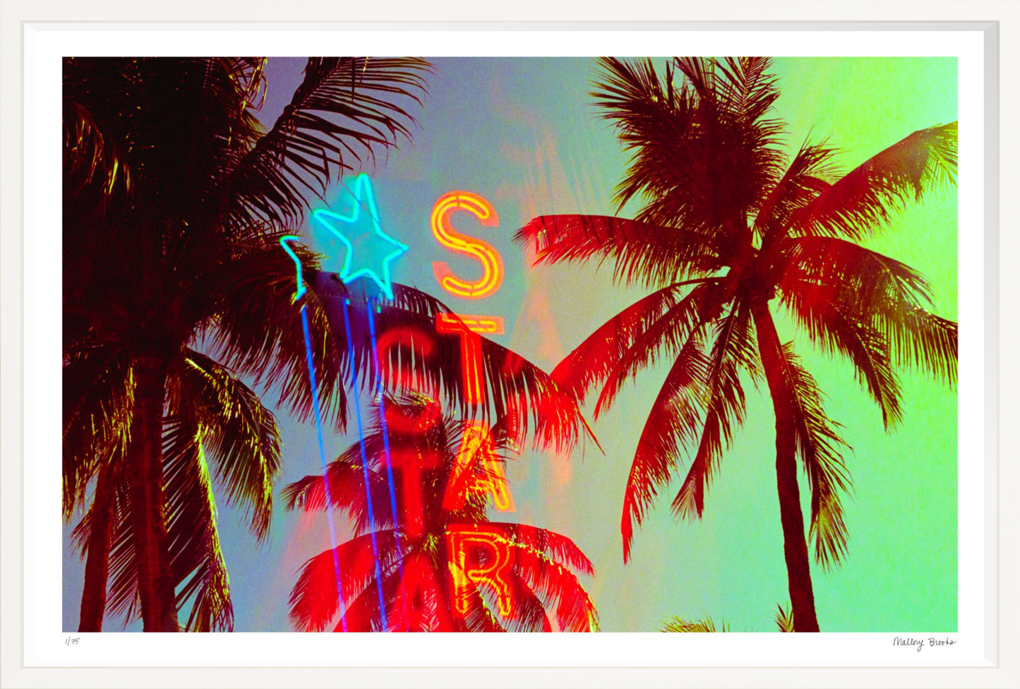 Neon Star Palms No. 2