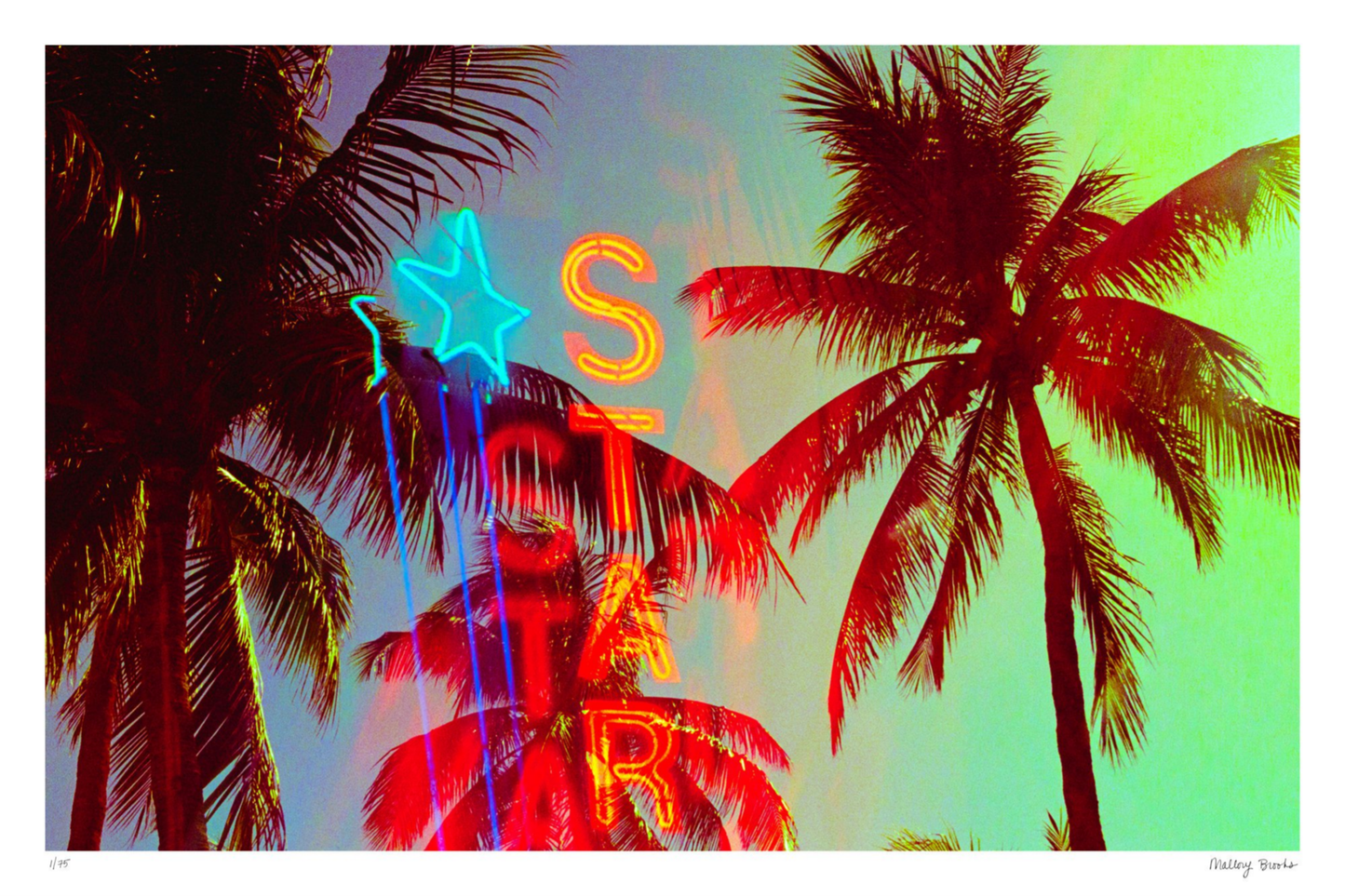 Neon Star Palms No. 2