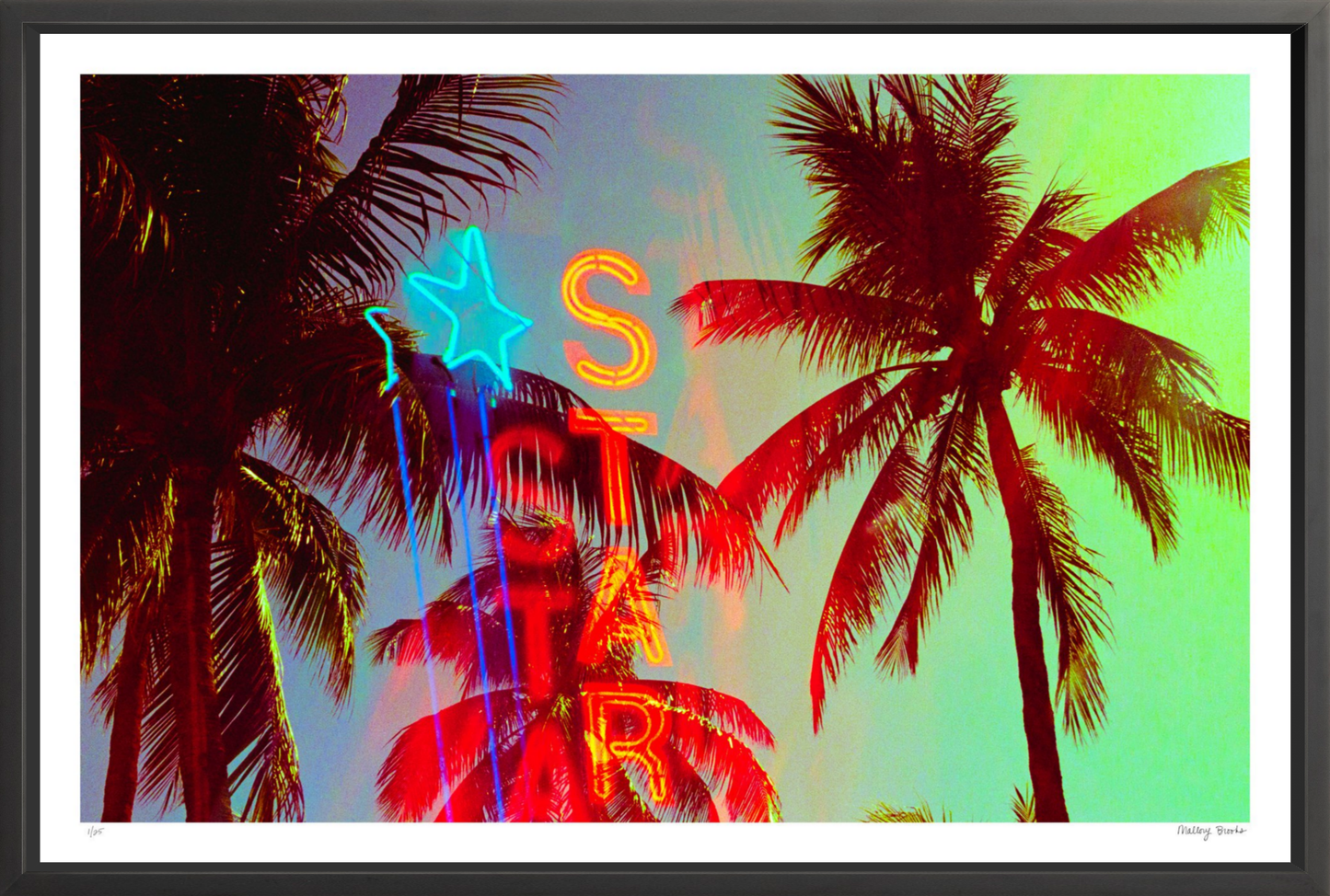 Neon Star Palms No. 2
