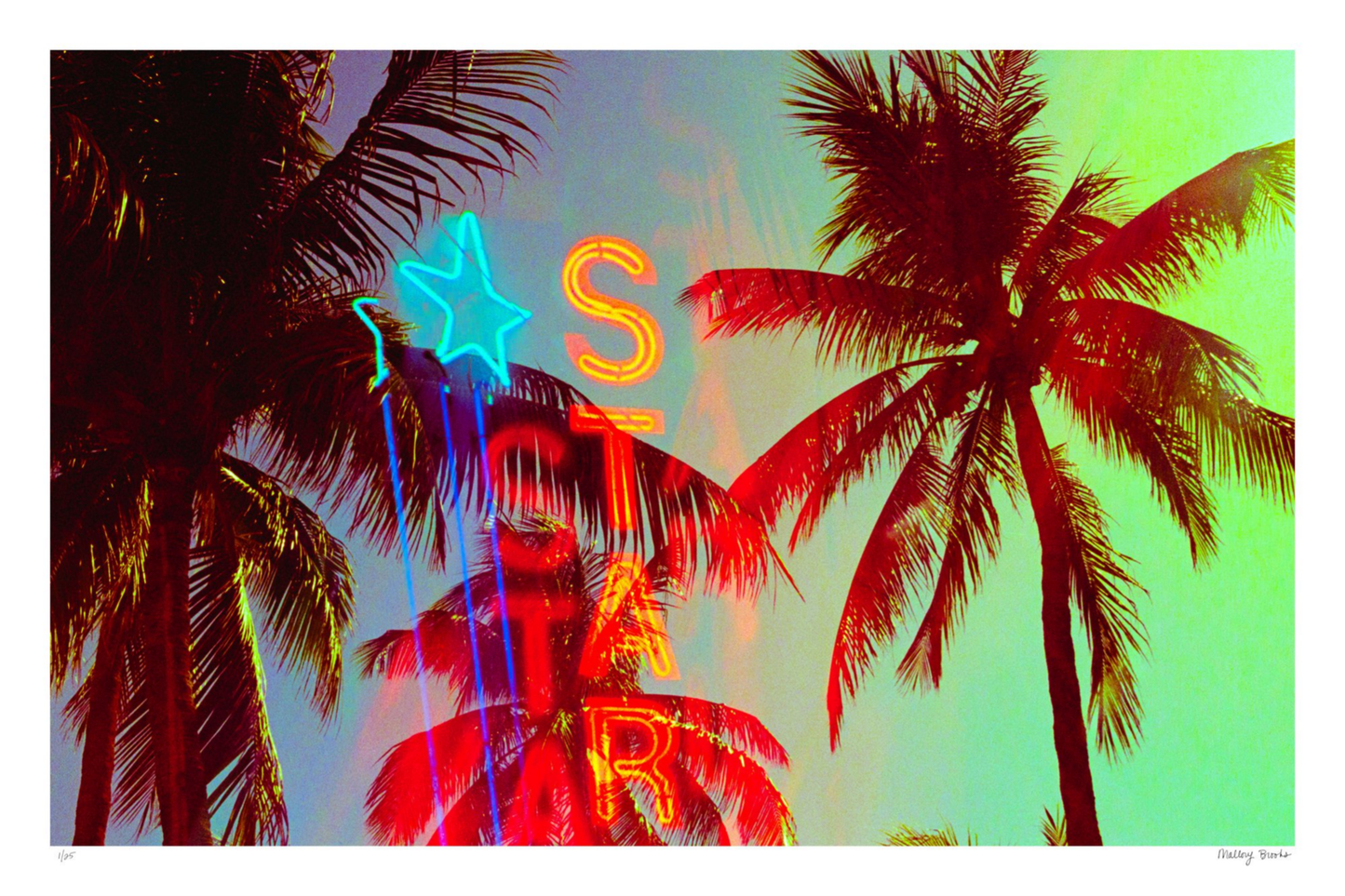 Neon Star Palms No. 2