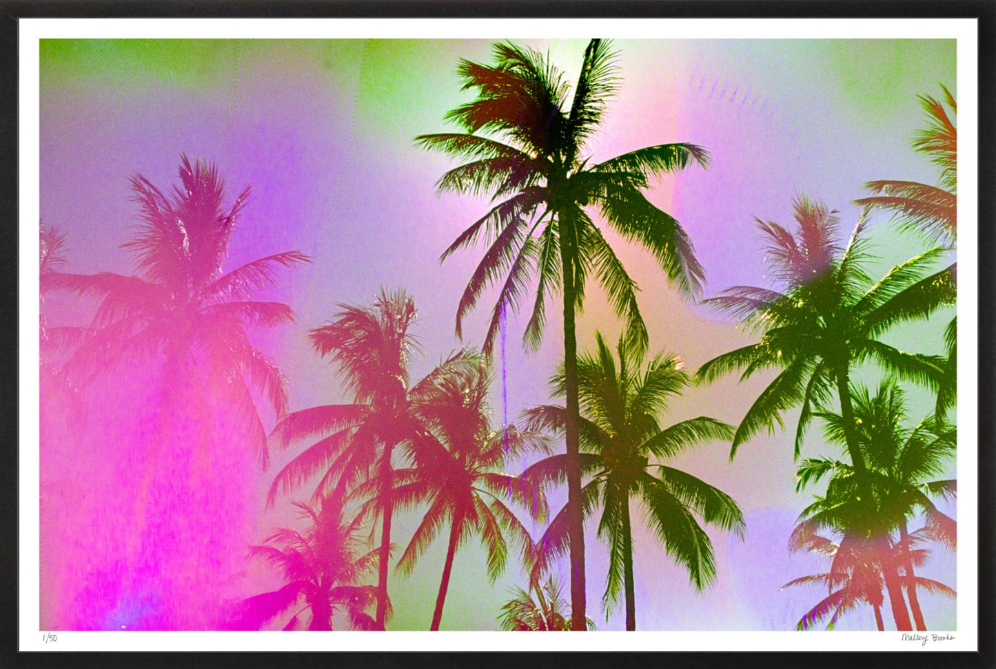 Pastel Paradise No. 1