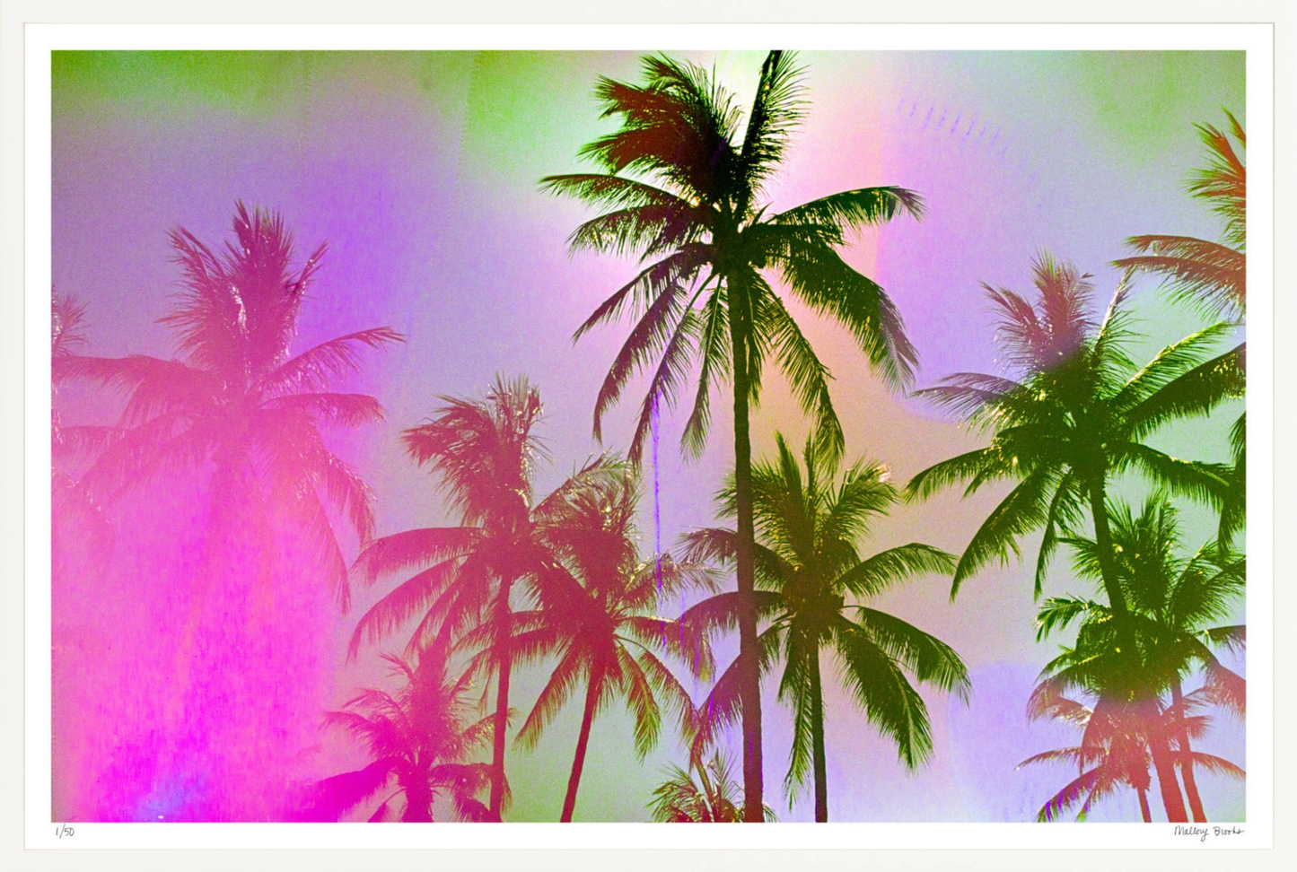 Pastel Paradise No. 1