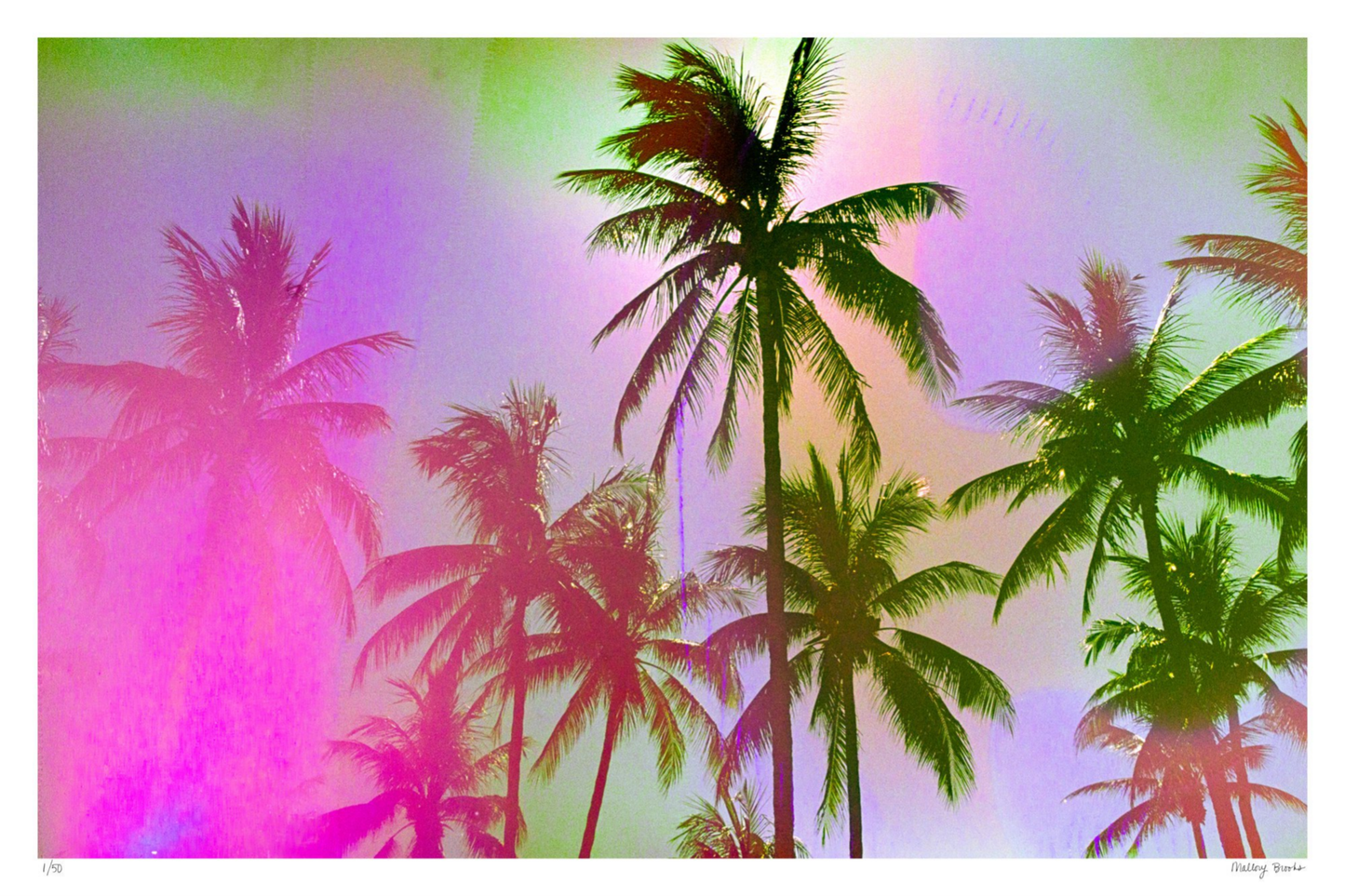 Pastel Paradise No. 1