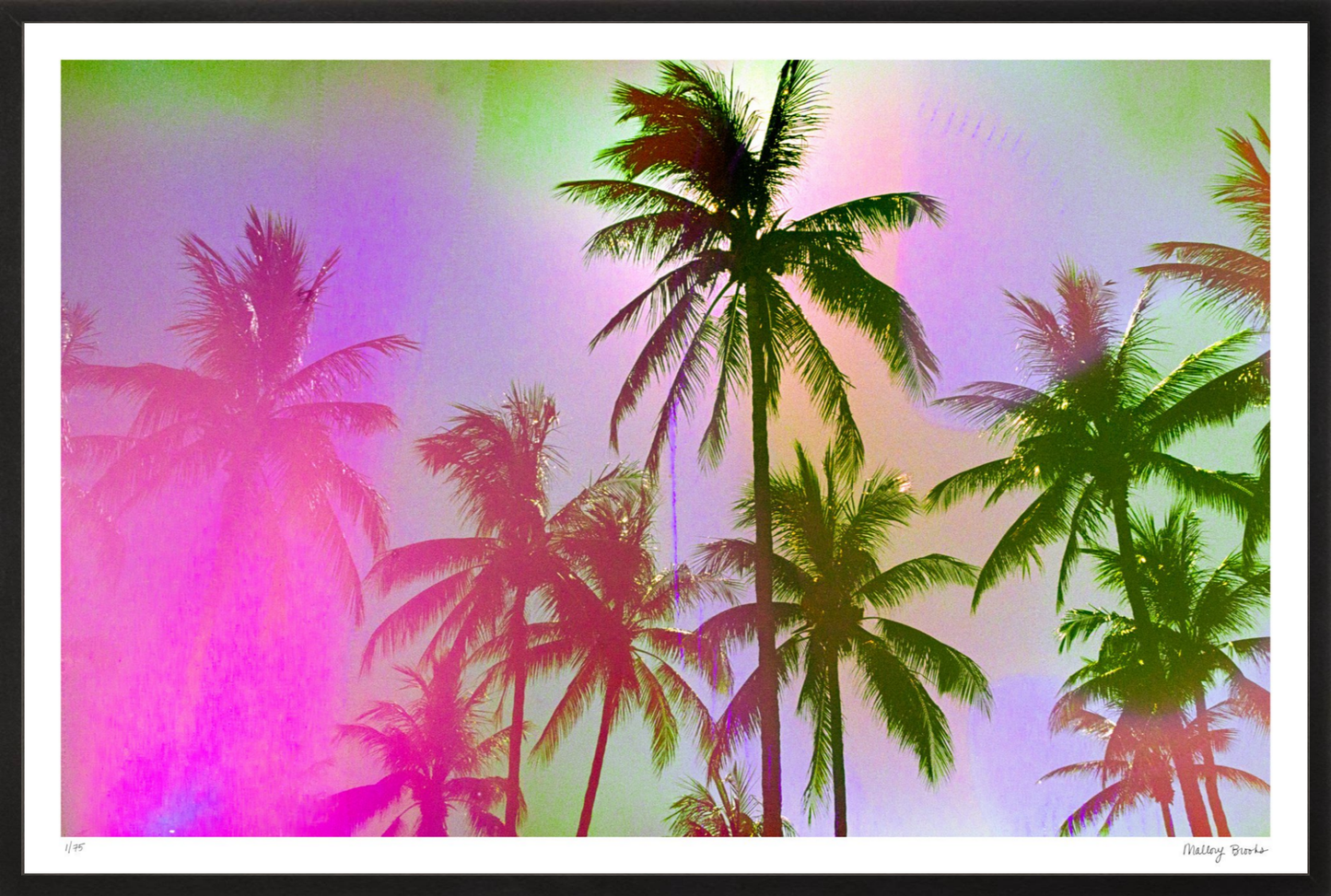 Pastel Paradise No. 1