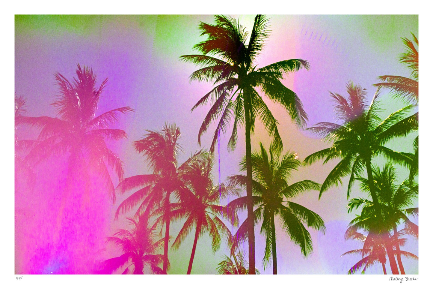 Pastel Paradise No. 1