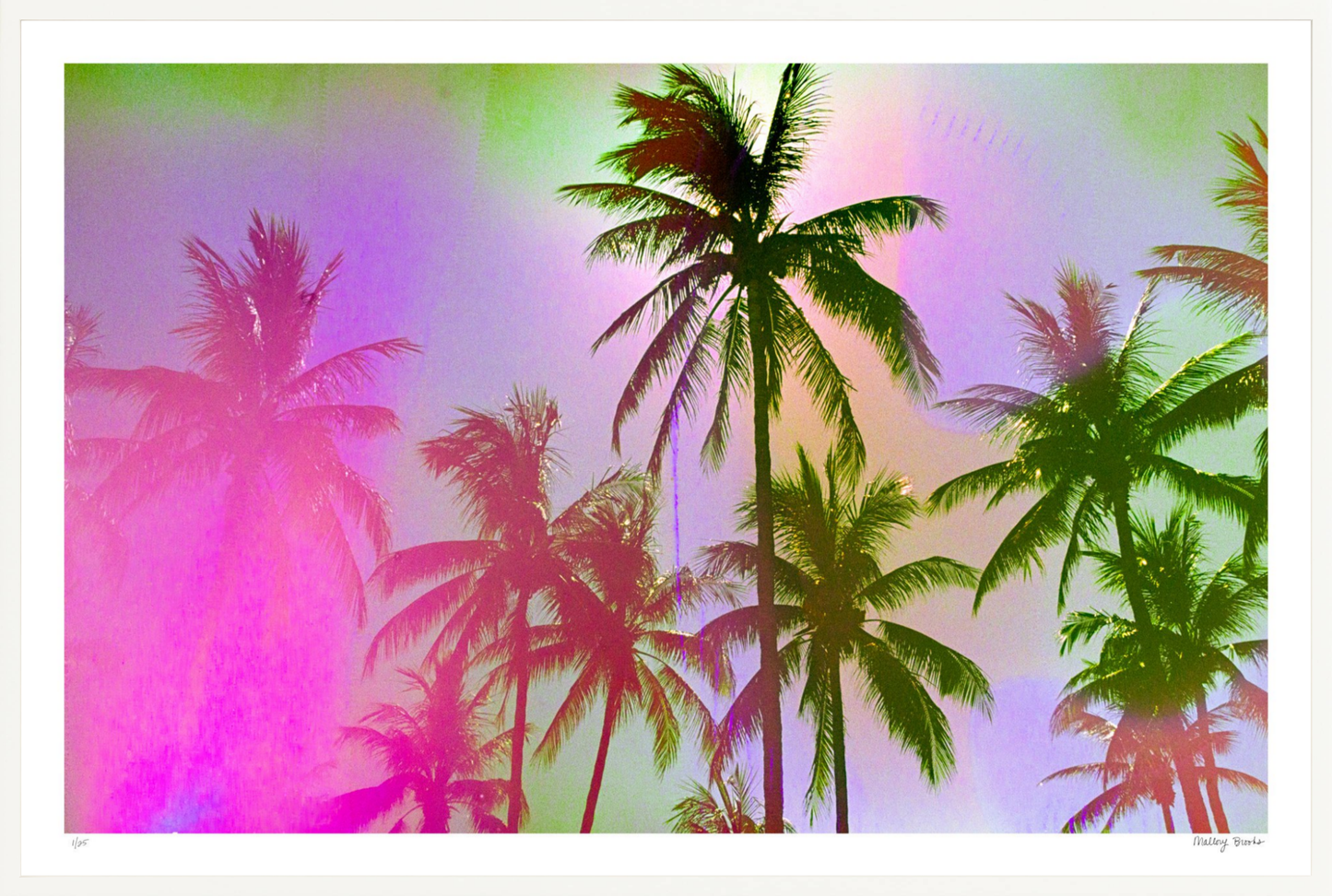 Pastel Paradise No. 1