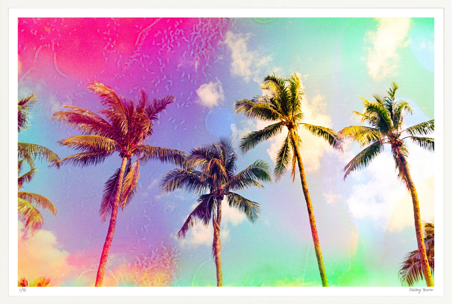 Pastel Paradise No. 3