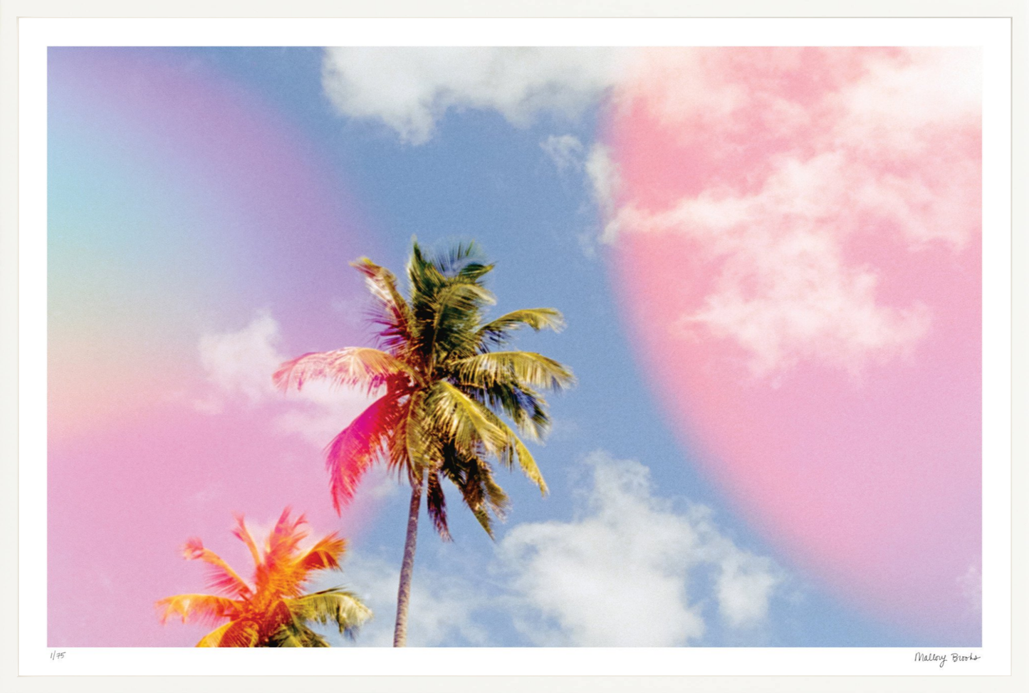 Pastel Paradise No. 4