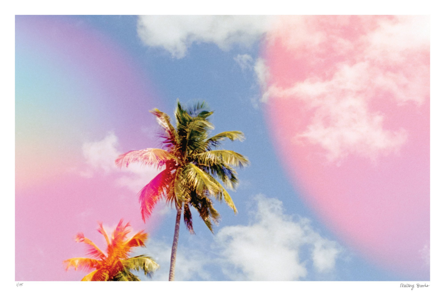 Pastel Paradise No. 4