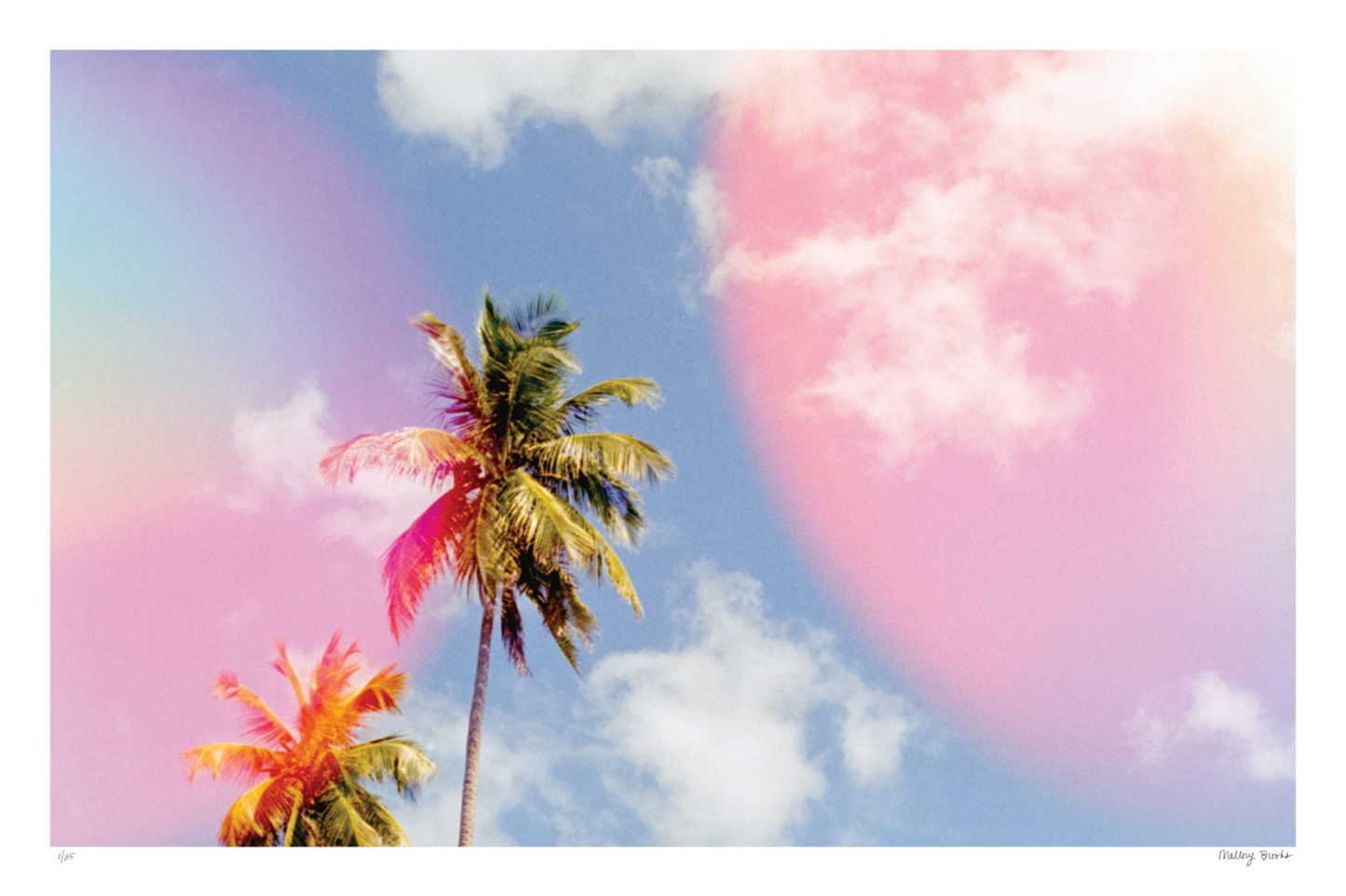 Pastel Paradise No. 4