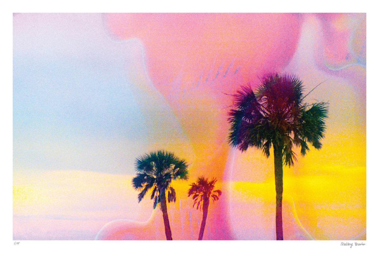 Pastel Paradise No. 5