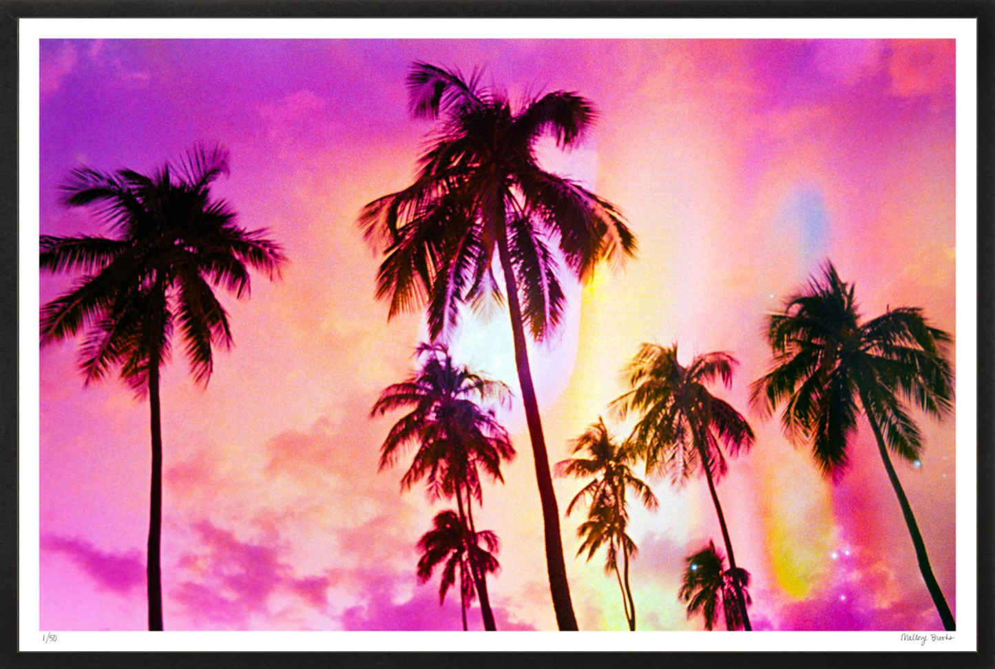 Pink Palm Dreams