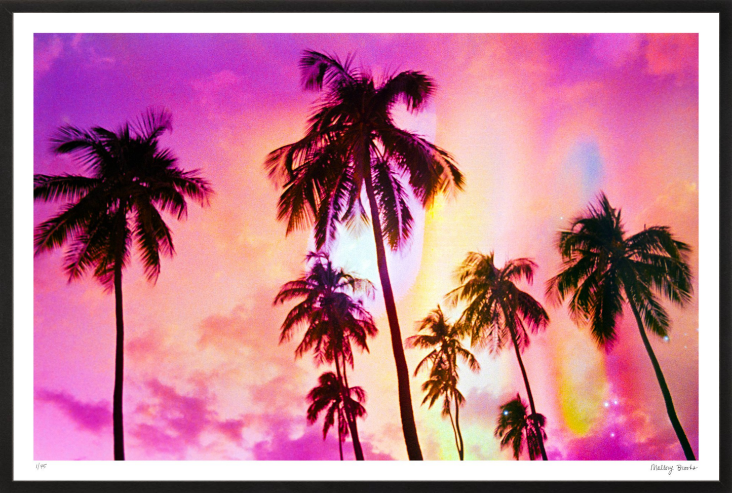 Pink Palm Dreams
