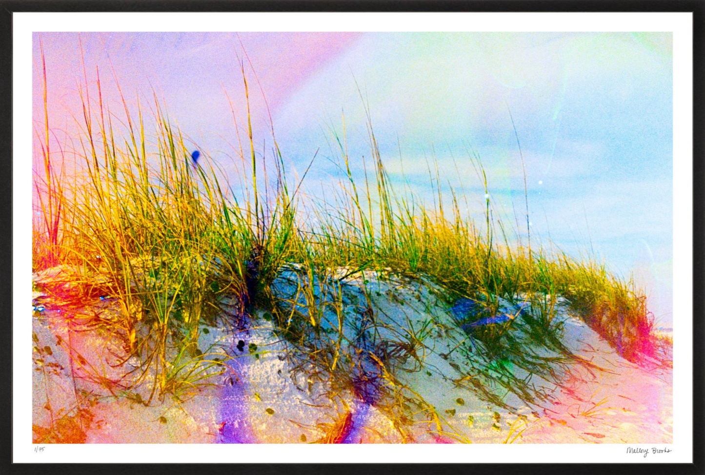 Rainbow Dunes