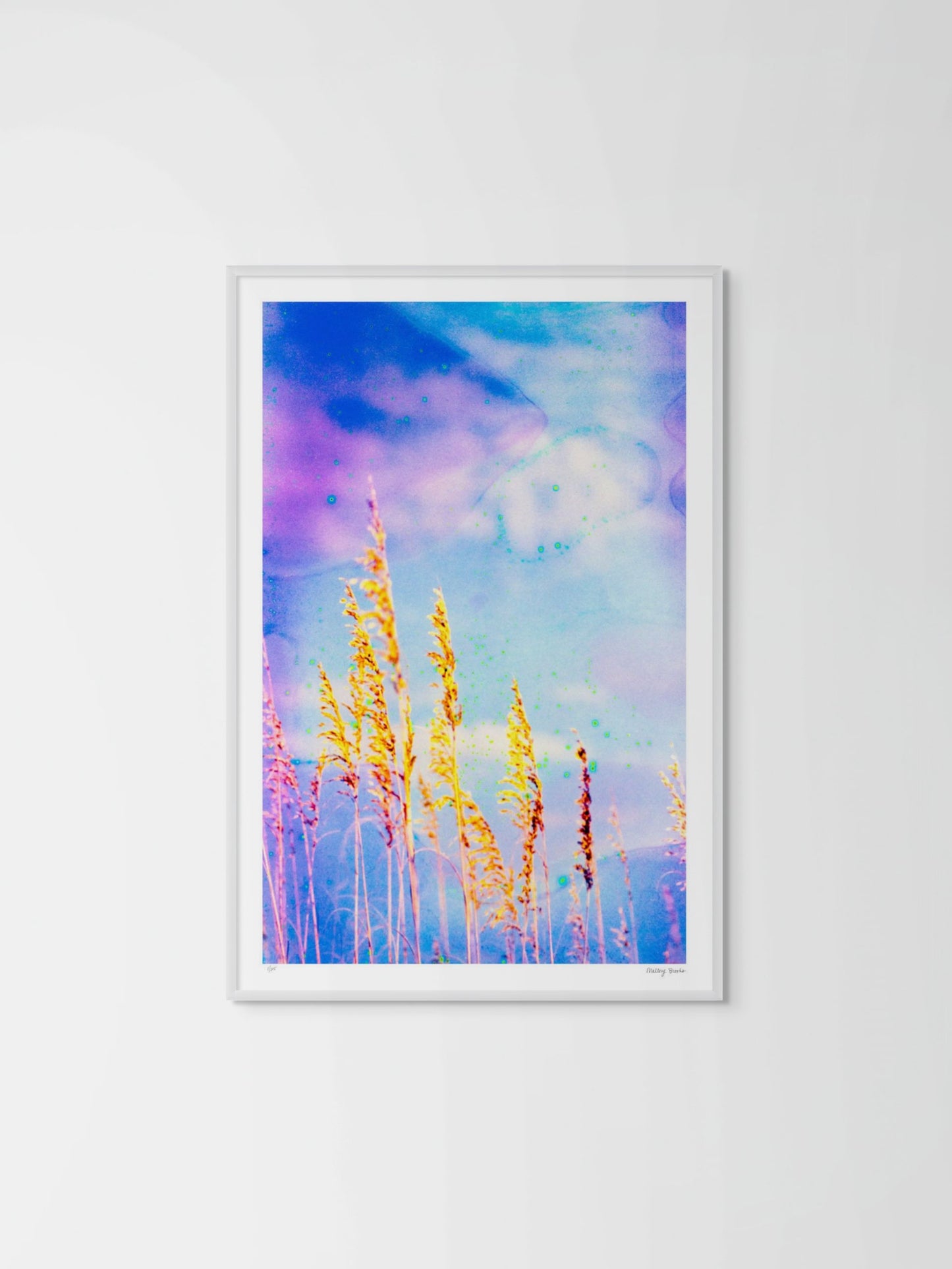 Sea Oat Blues