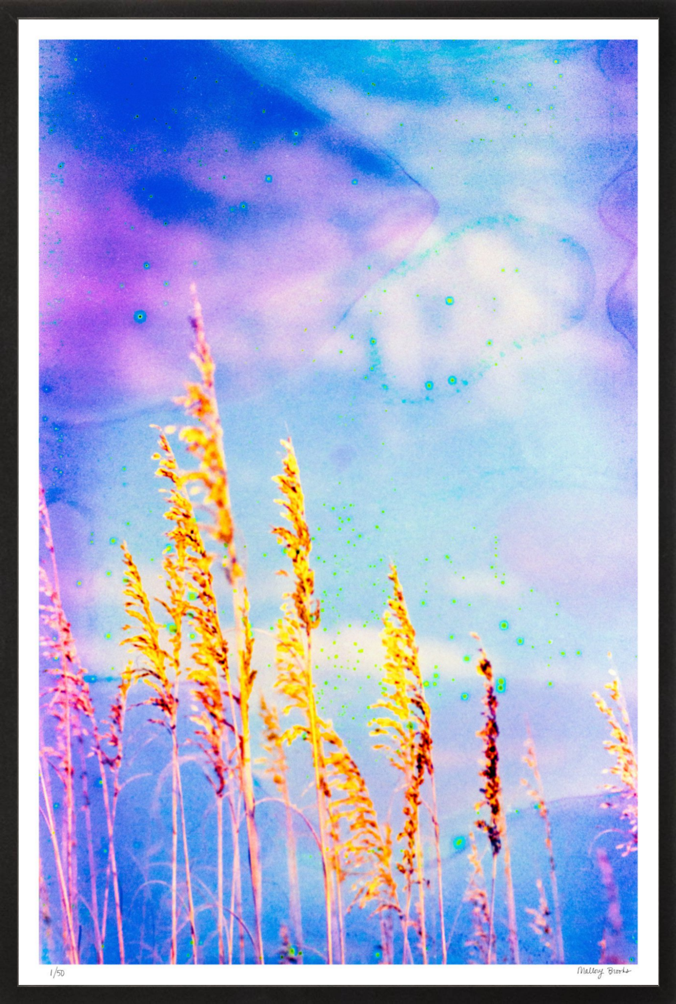 Sea Oat Blues