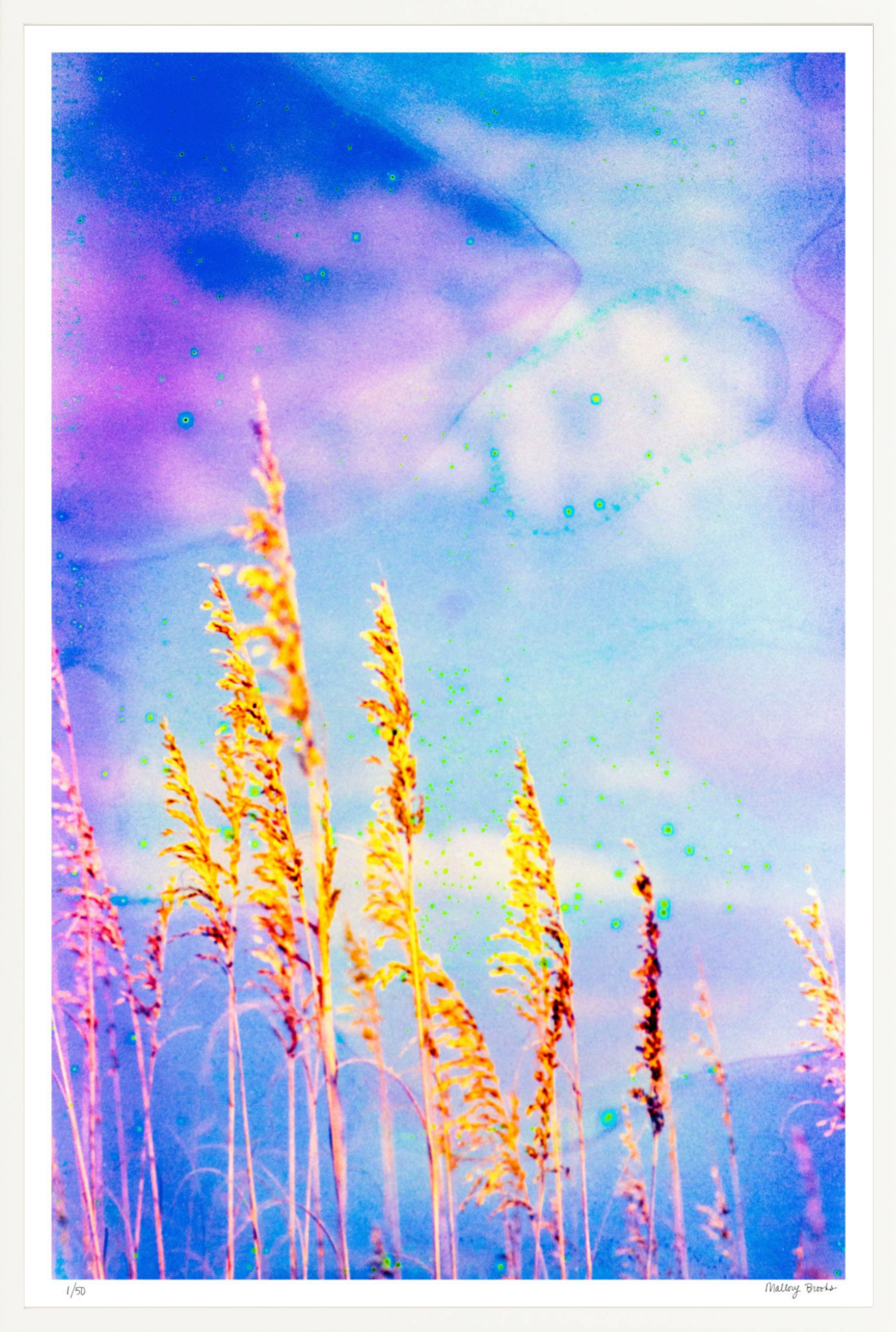 Sea Oat Blues