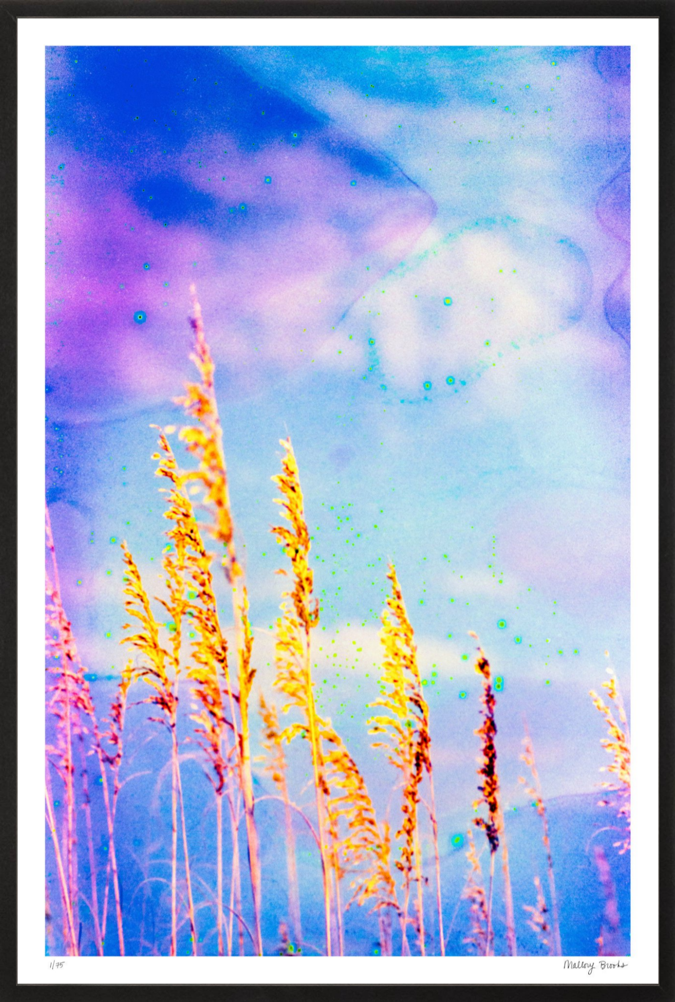 Sea Oat Blues