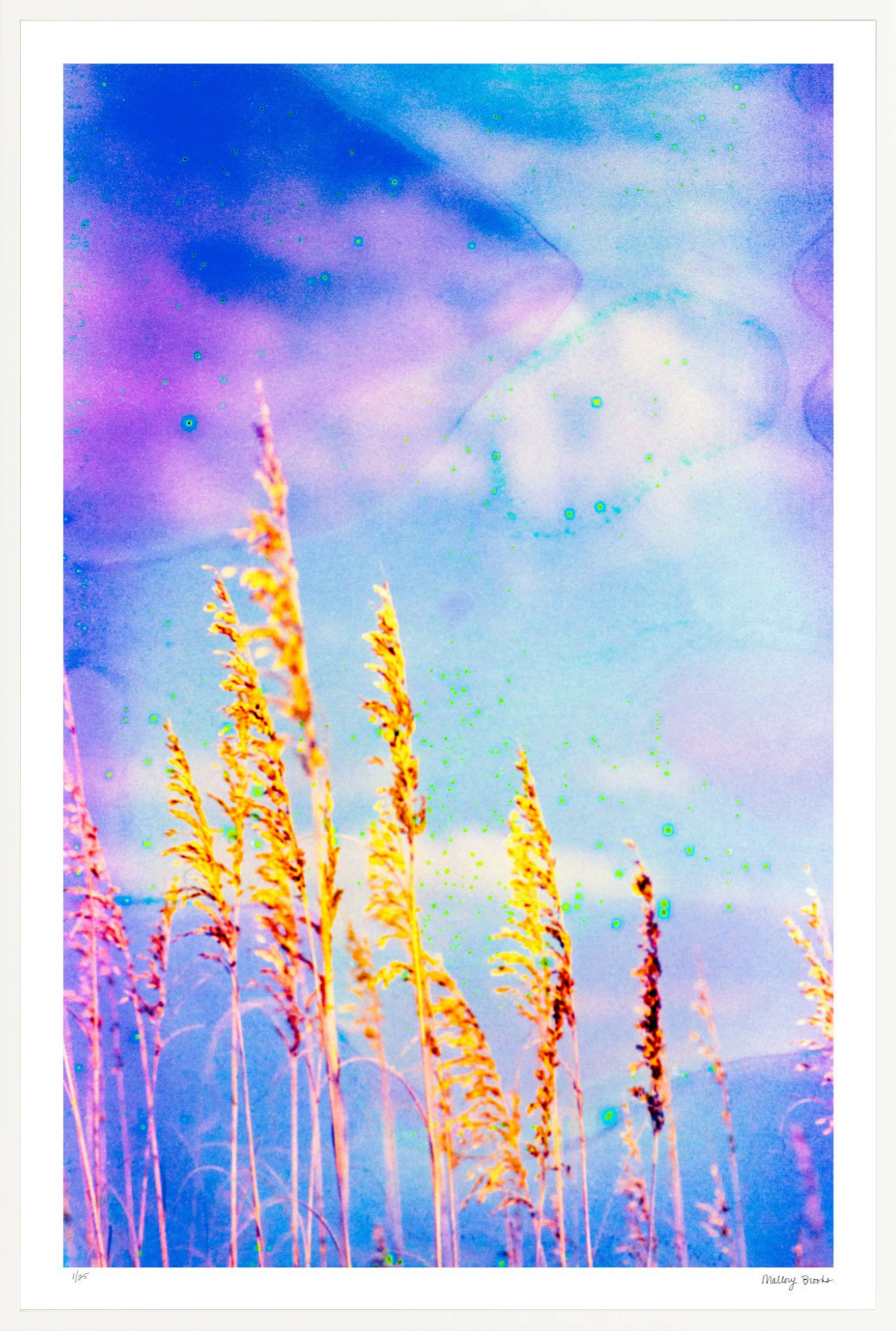 Sea Oat Blues