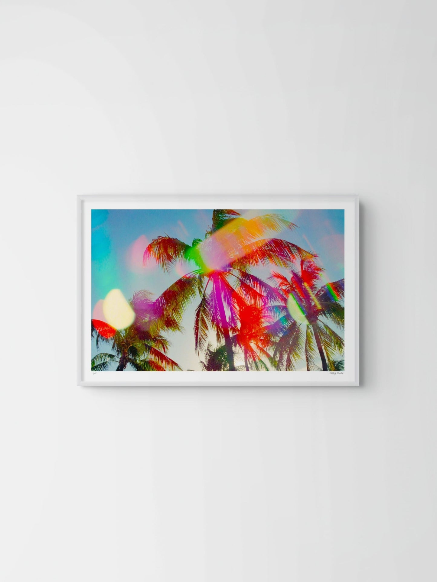 South Beach Pulse No. 4