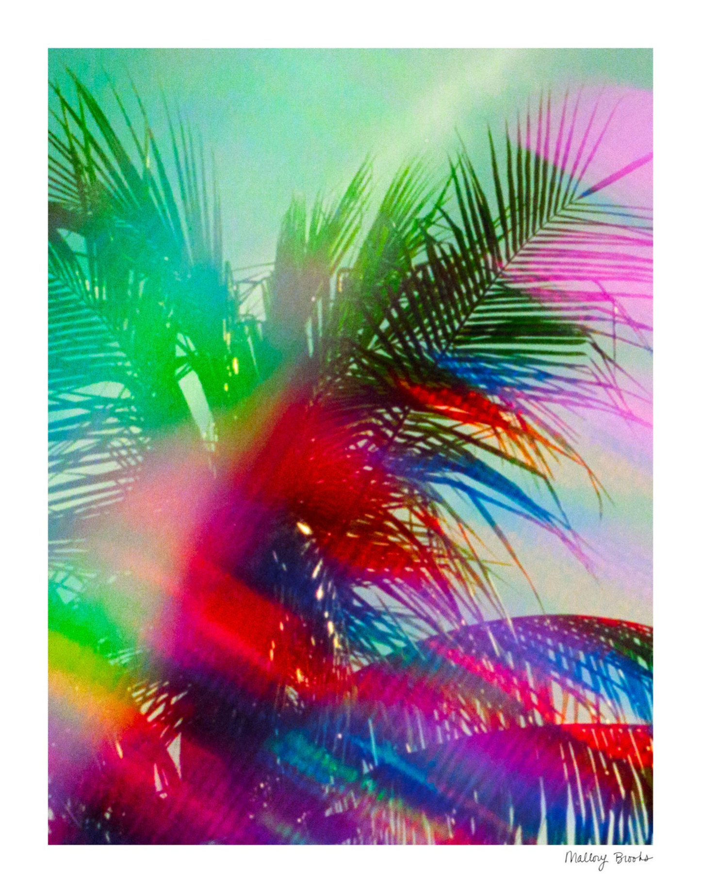 South Beach Pulse No. 10