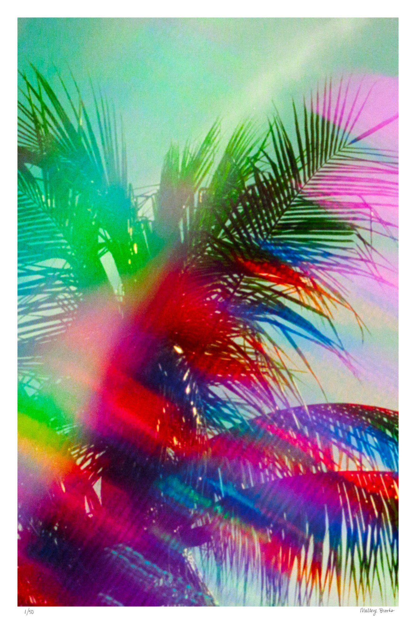 South Beach Pulse No. 10