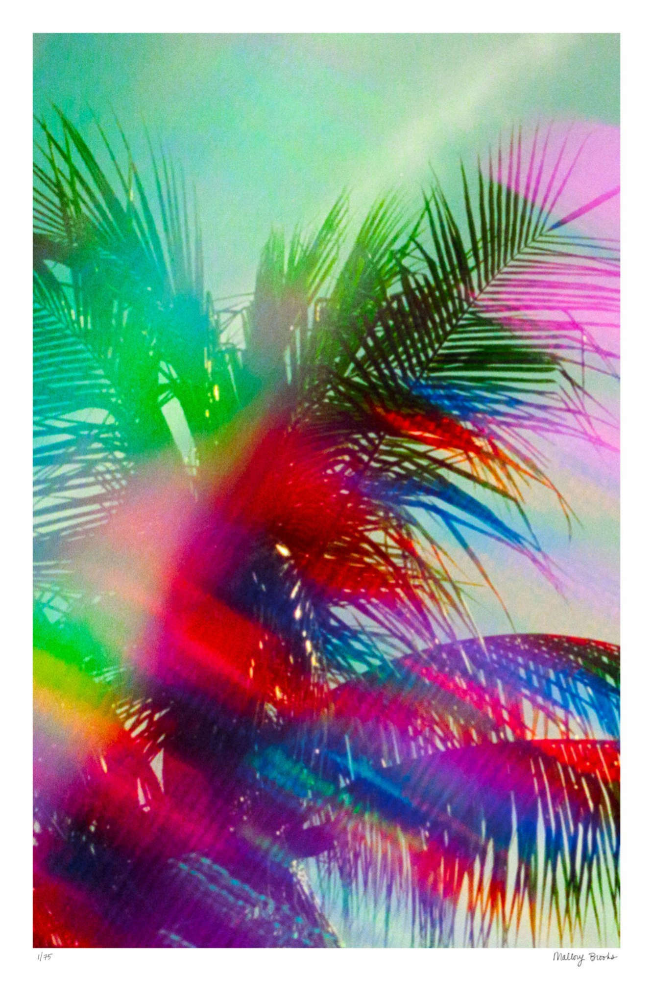South Beach Pulse No. 10