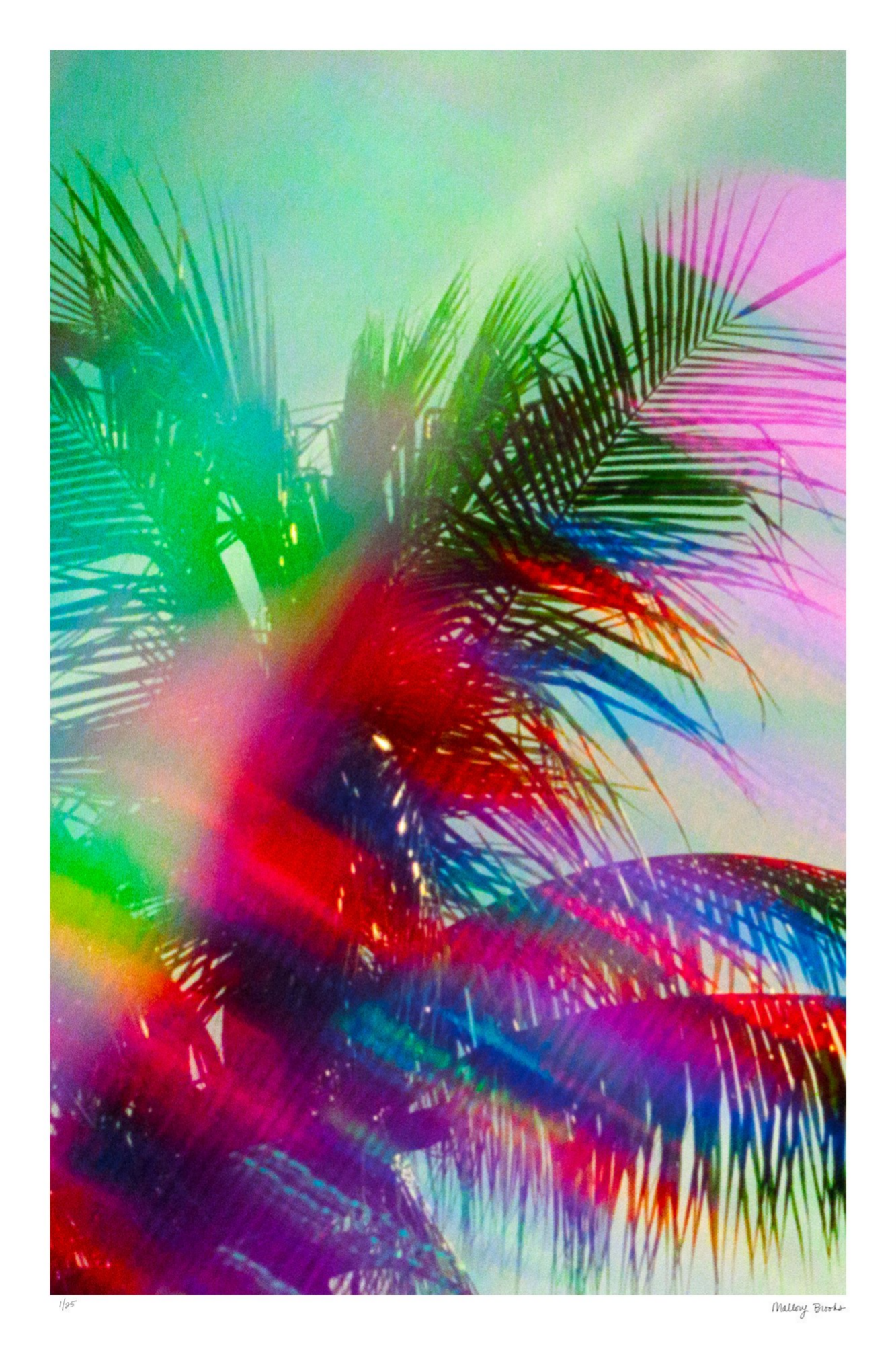 South Beach Pulse No. 10