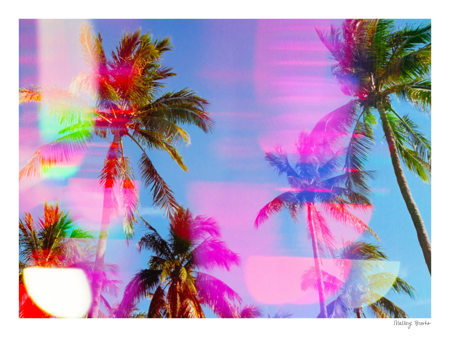 South Beach Pulse No. 1