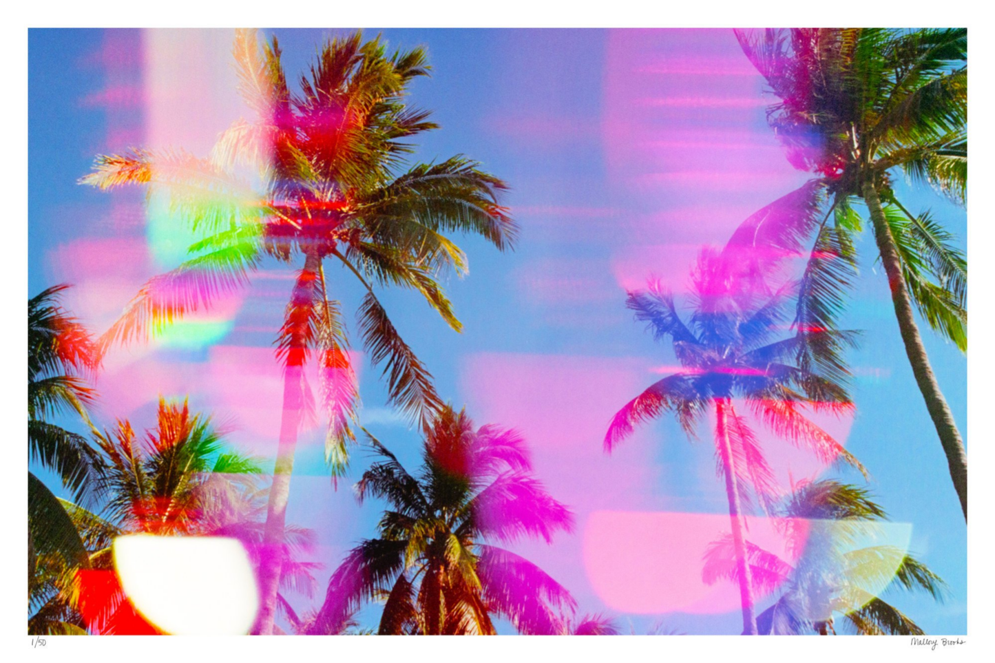 South Beach Pulse No. 1