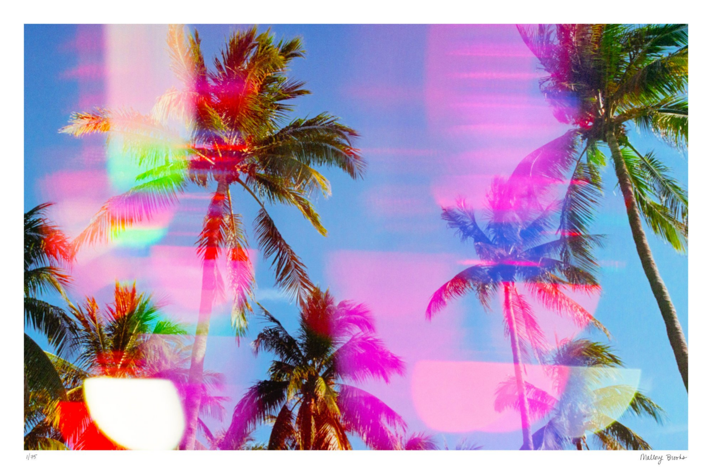 South Beach Pulse No. 1