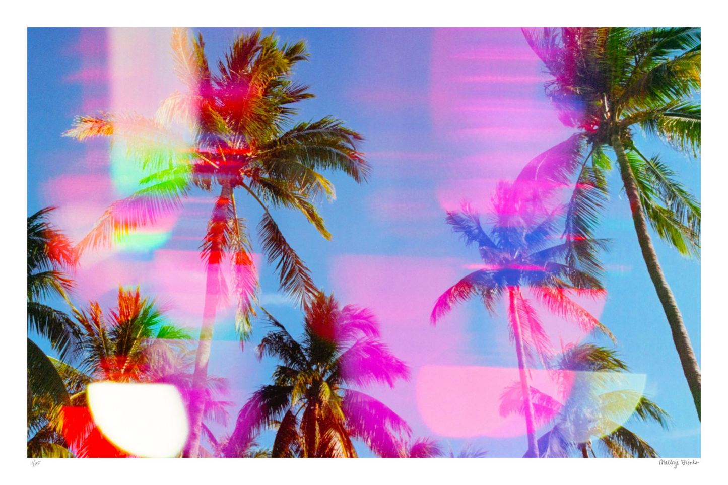South Beach Pulse No. 1