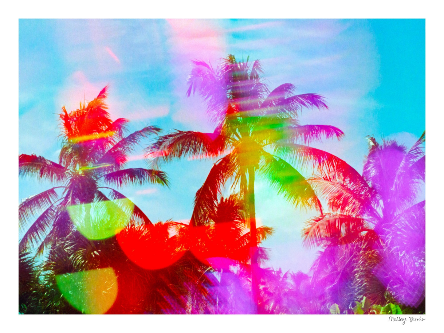 South Beach Pulse No. 2