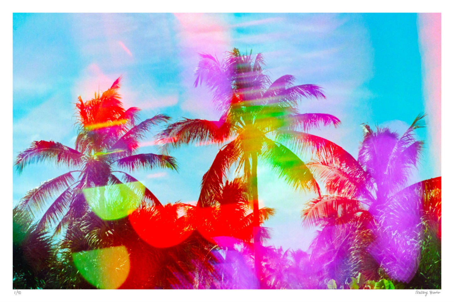 South Beach Pulse No. 2