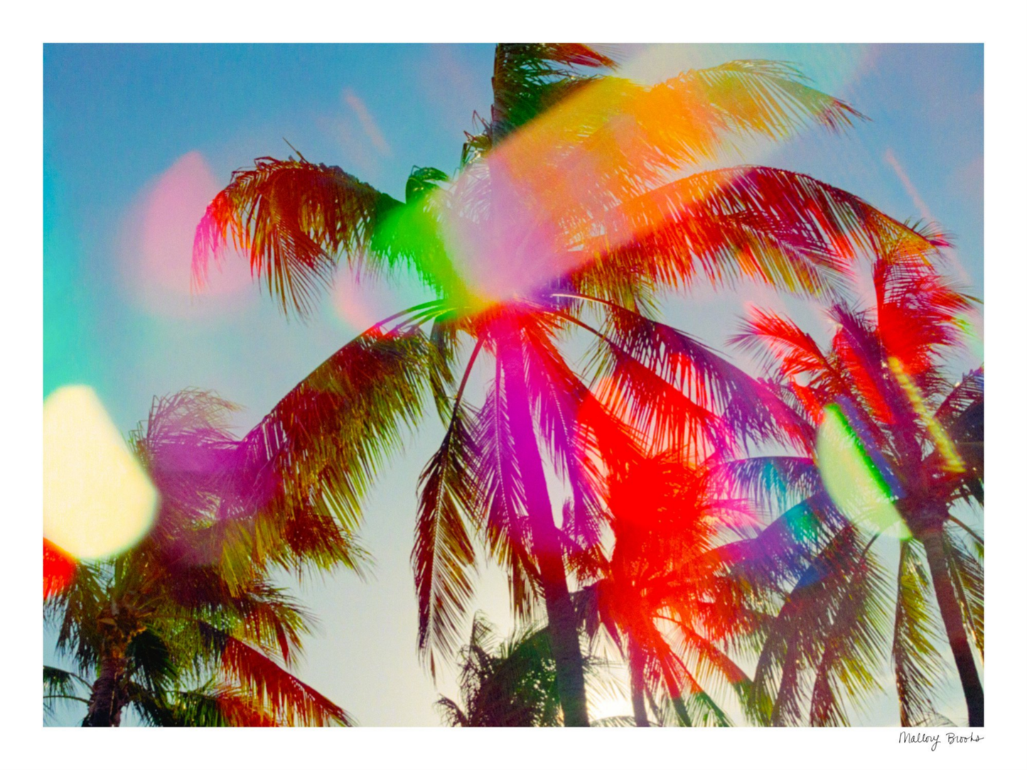 South Beach Pulse No. 4